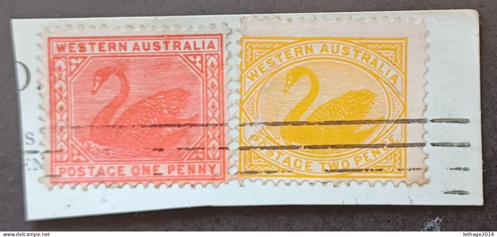 WESTERN AUSTRALIA 1902 SWAN CAT GIBBONS N 115 -116 FRAGMANT - Usati