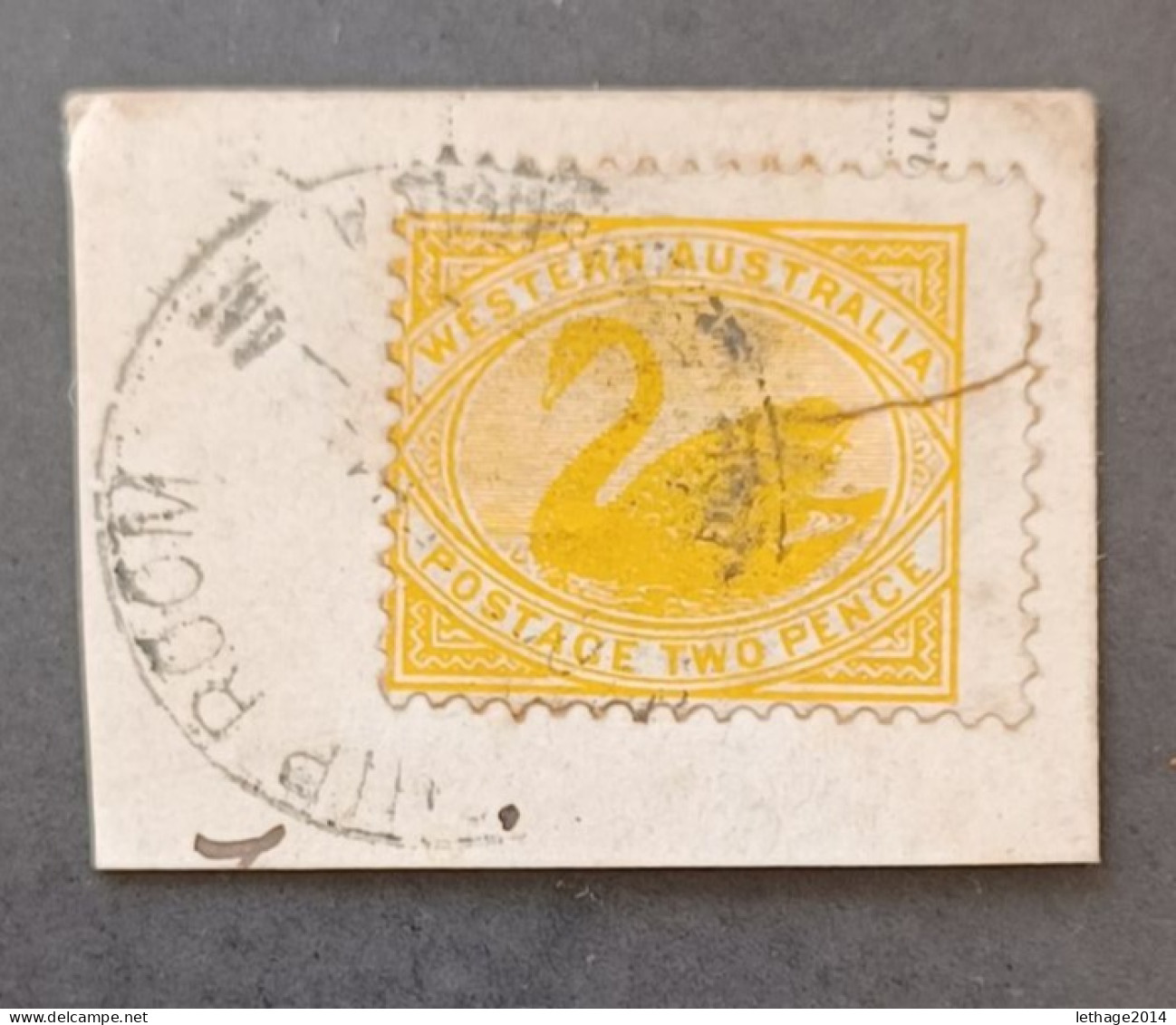 WESTERN AUSTRALIA 1902 SWAN CAT GIBBONS N 116 FRAGMANT - Used Stamps
