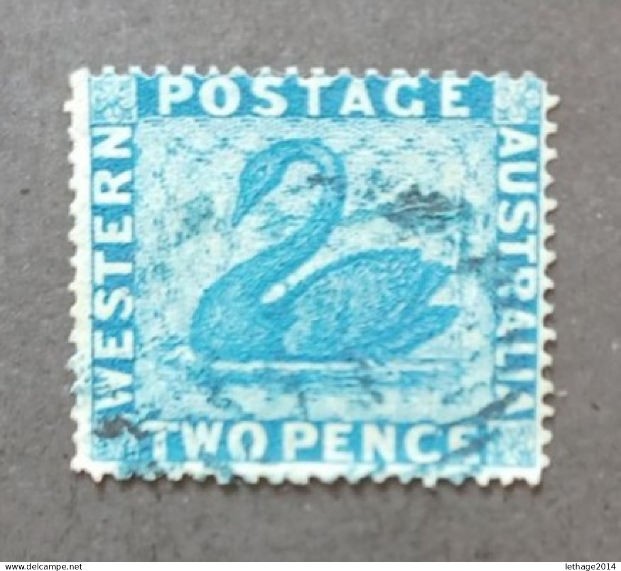 WESTERN AUSTRALIA 1861 SWAN CAT GIBBONS N 37 PERF 15 1/2 - Usados