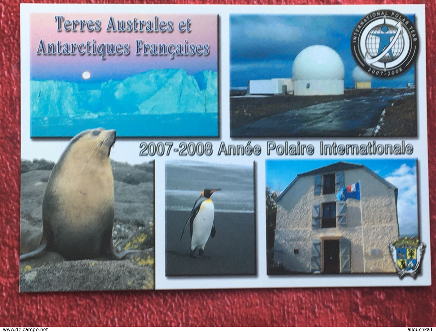 TAAF : Terres Australes Antarctiques Françaises Année Polaire Internationale CPM  Carte Postale Europe France Multi Vue - TAAF : Franz. Süd- Und Antarktisgebiete