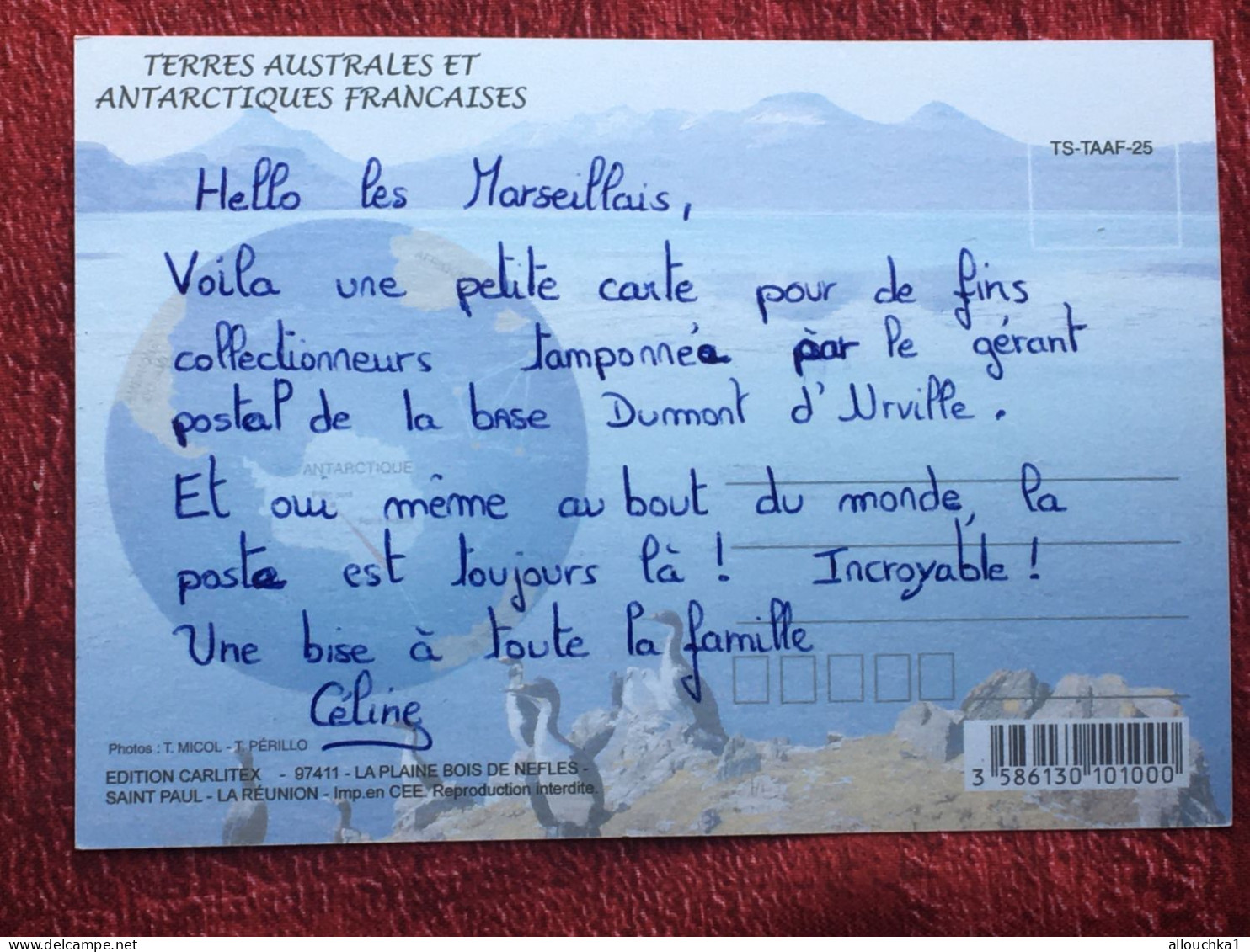 TAAF : Terres Australes Antarctiques Françaises Année Polaire Internationale CPM  Carte Postale Europe France Multi Vue - TAAF : Territorios Australes Franceses