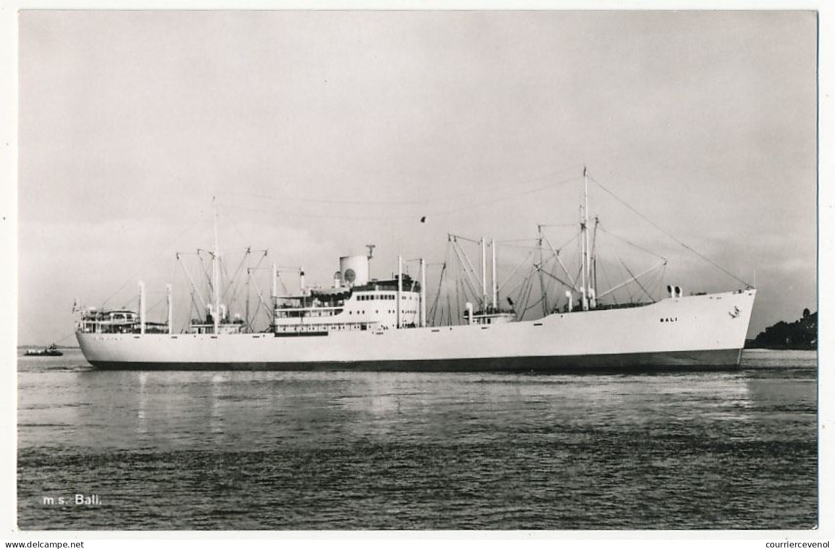 CPSM - "M.S. BALI" - Swedish East Asia Co, Ltd - Göteborg - Commercio