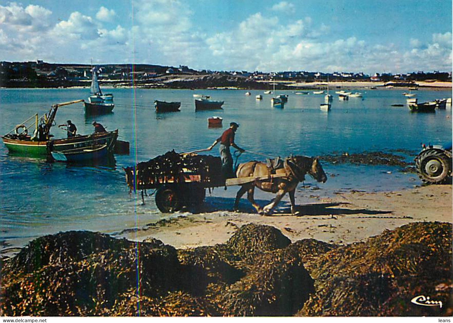 PLOUGUERNEAU LILIA - Transport Du Goëmon - Plouguerneau