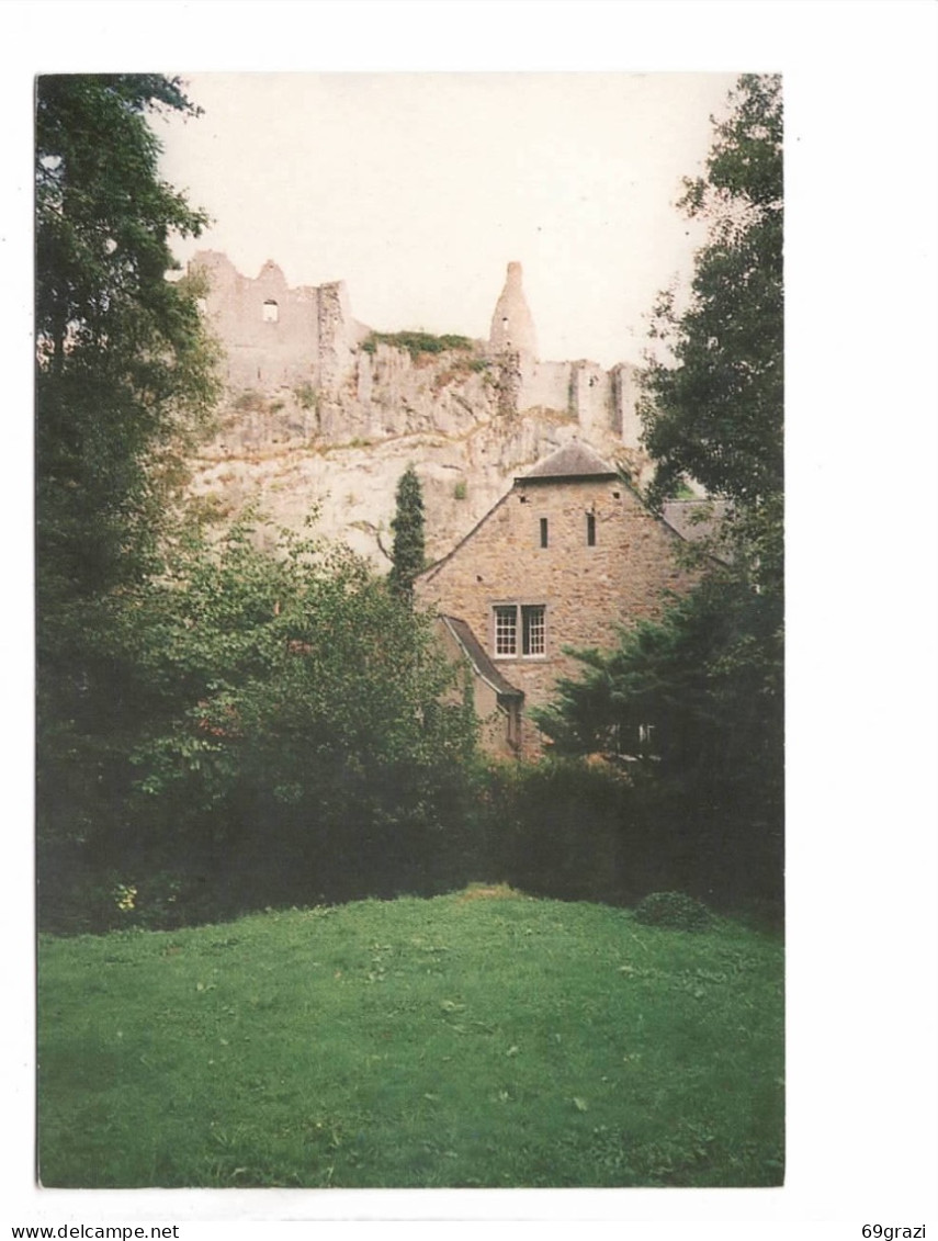 Falaen Ruines De Montaigle - Onhaye