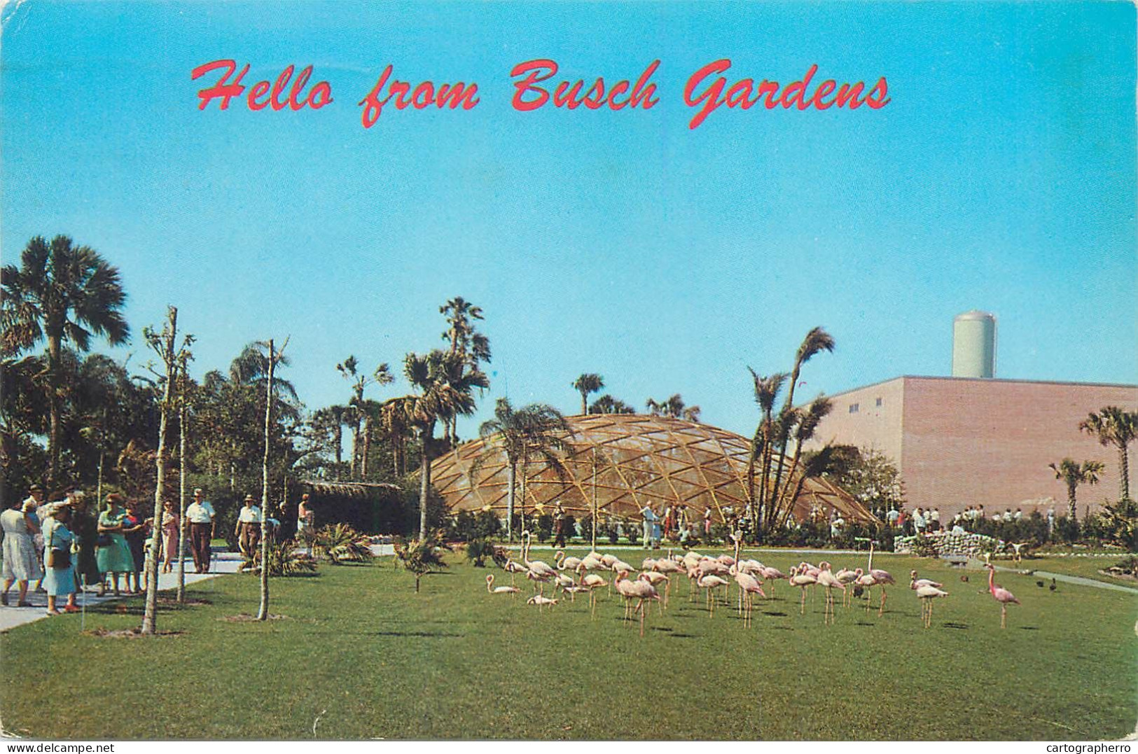 Postcard USA Fl Florida Tampa Flamingos And Golden Geodesic Dome 1969 - Tampa