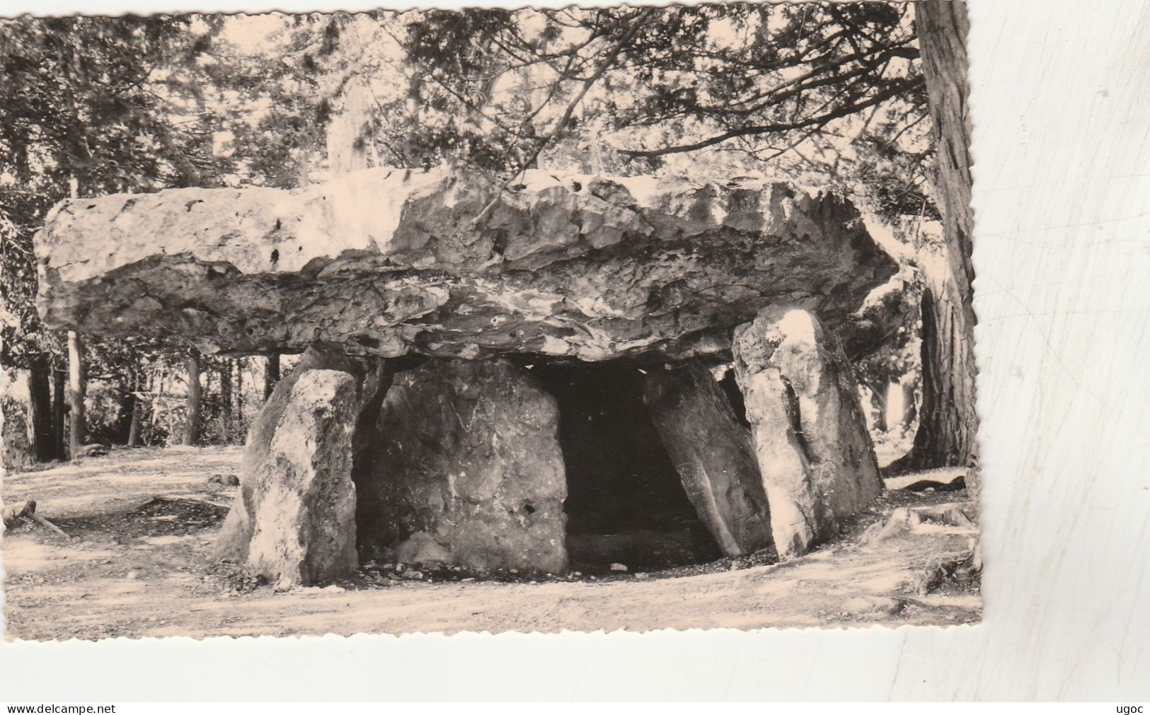 CPSM PF - 37 - METTRAY - Dolmen - La Grotte Des Fées  - 041 - Mettray