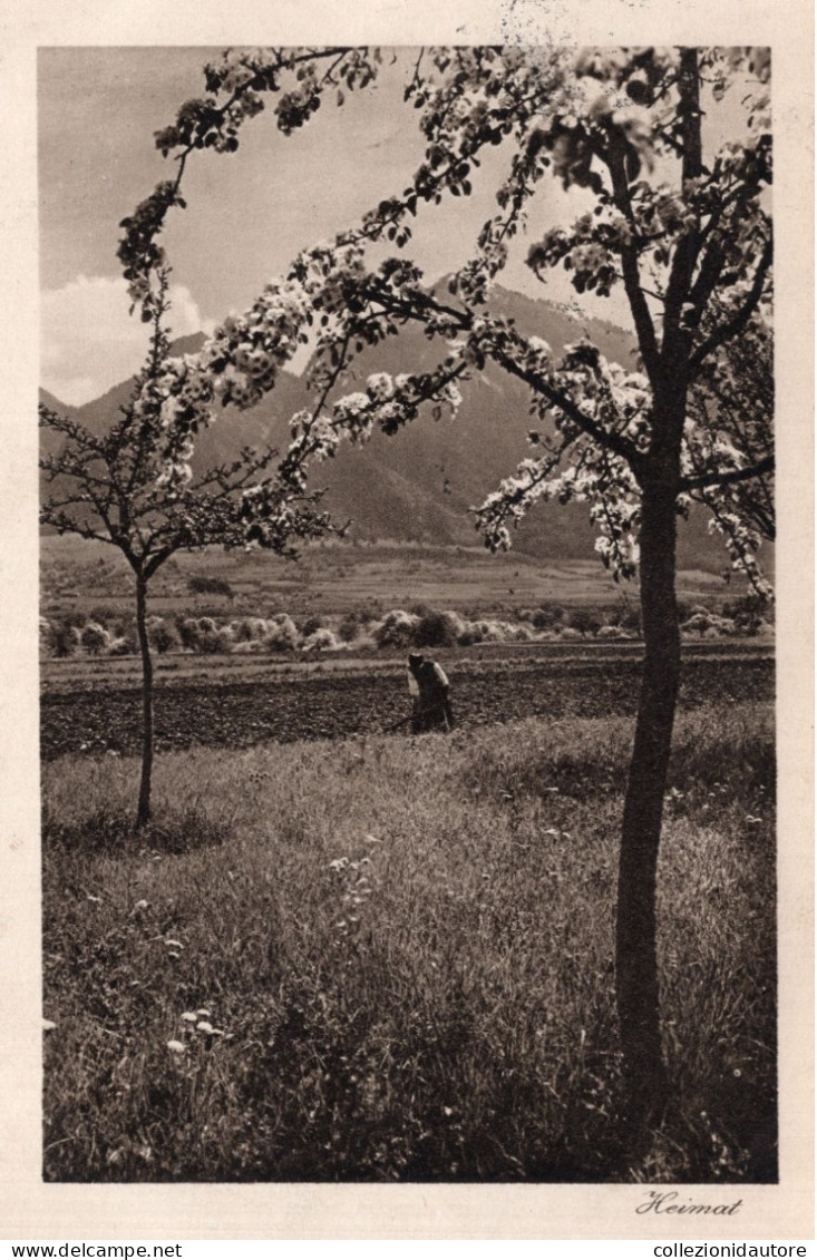 FRÜHLING IN UNTERVAZ - CARTOLINA FP SPEDITA NEL 1924 - Vaz/Obervaz