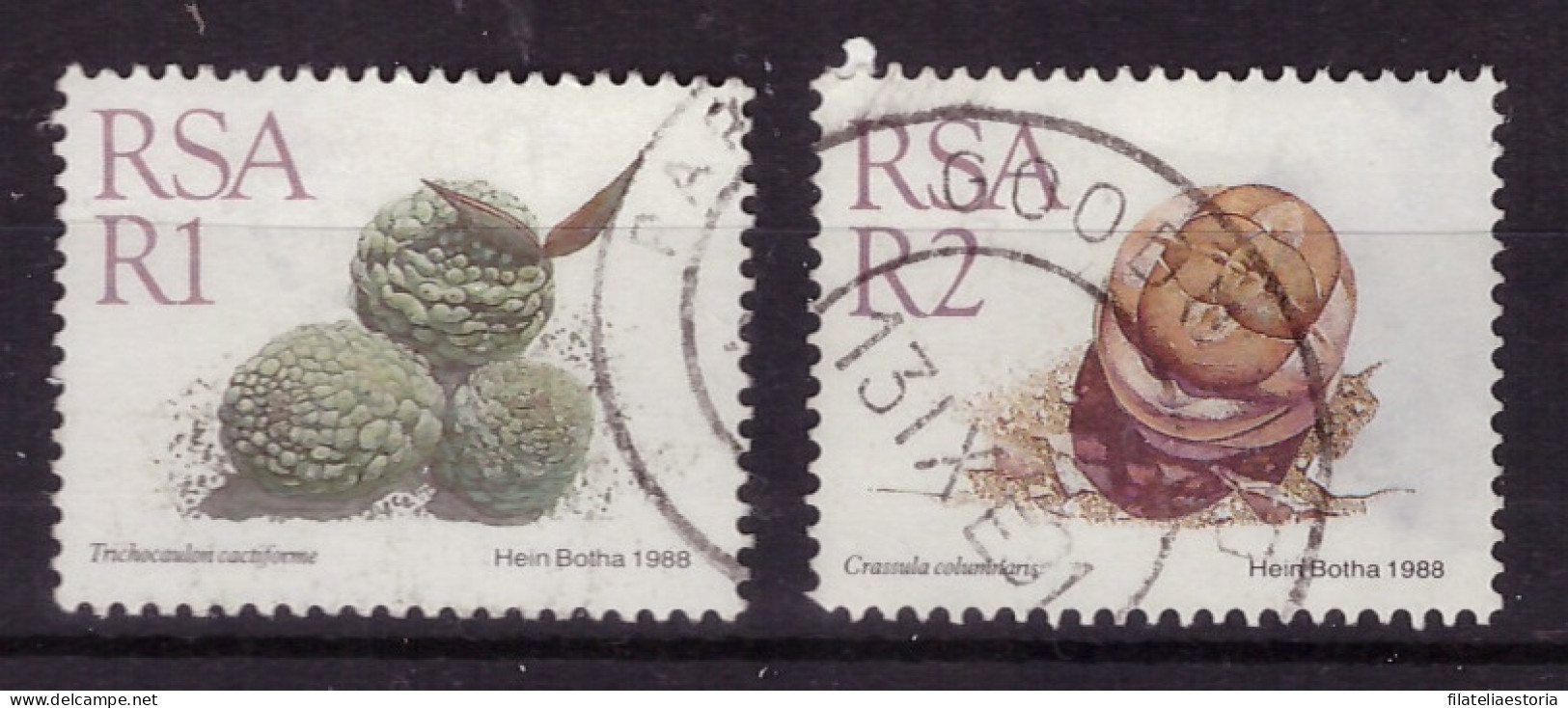 Afrique Du Sud 1988 - Oblitéré - Plantes Grasses - Michel Nr. 756-757 (rsa268) - Oblitérés
