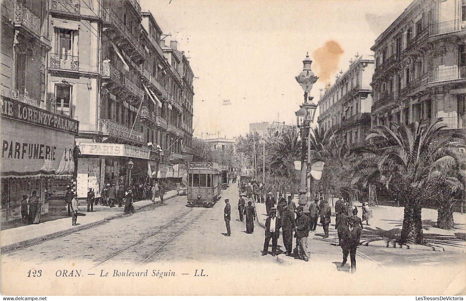 ALGERIE - ORAN - Le Boulevard Séguin - LL - Carte Postale Ancienne - Oran