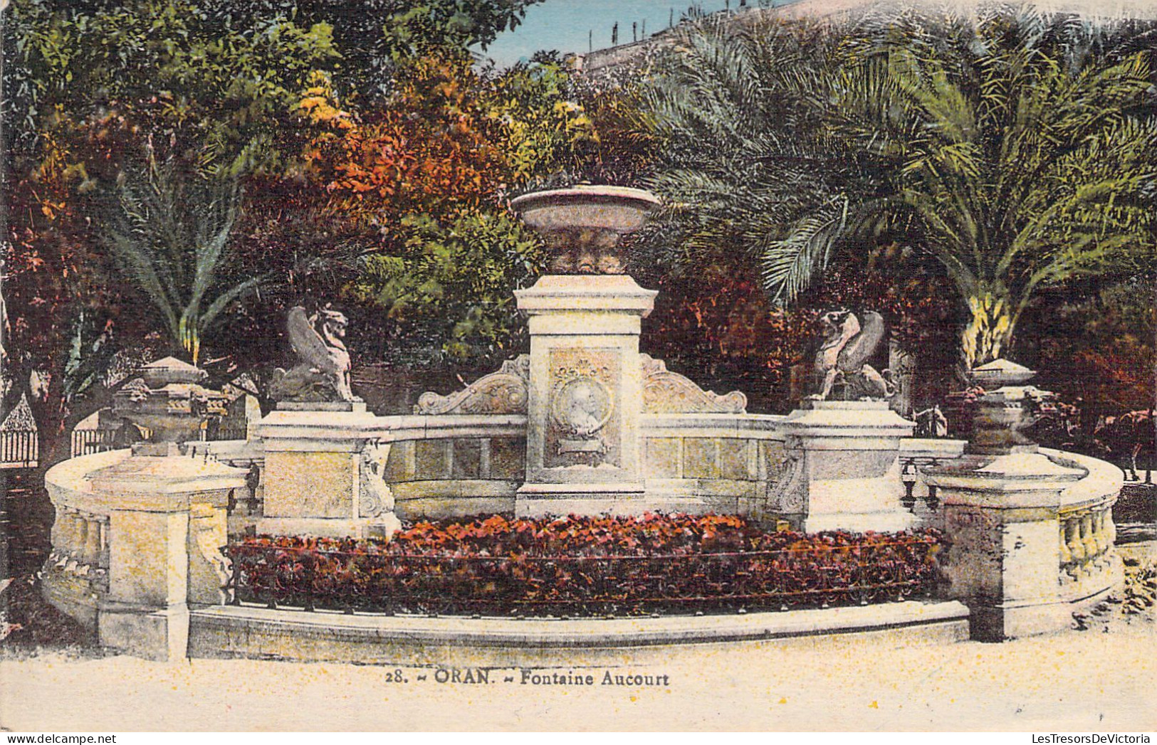 ALGERIE - ORAN - Fontaine Aucourt - Carte Postale Ancienne - Oran