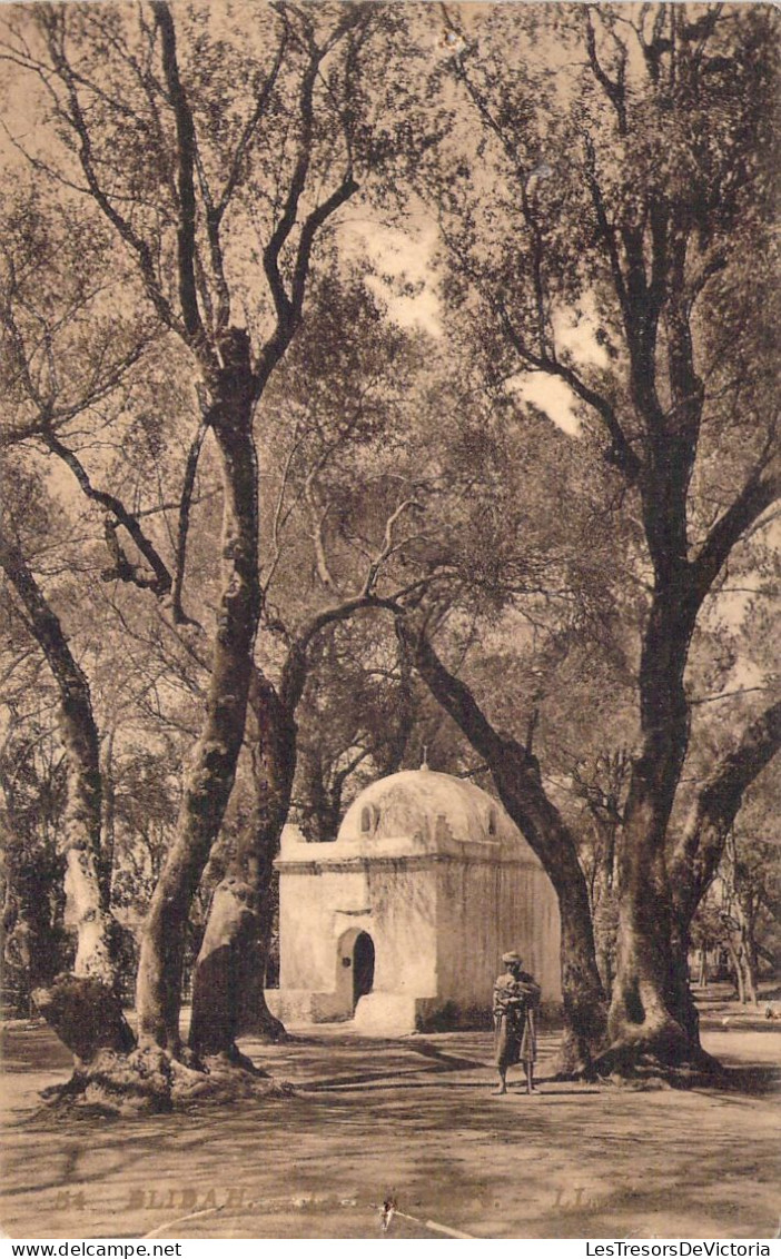 ALGERIE - BLIDA - Le Bois Sacré - Carte Postale Ancienne - Blida