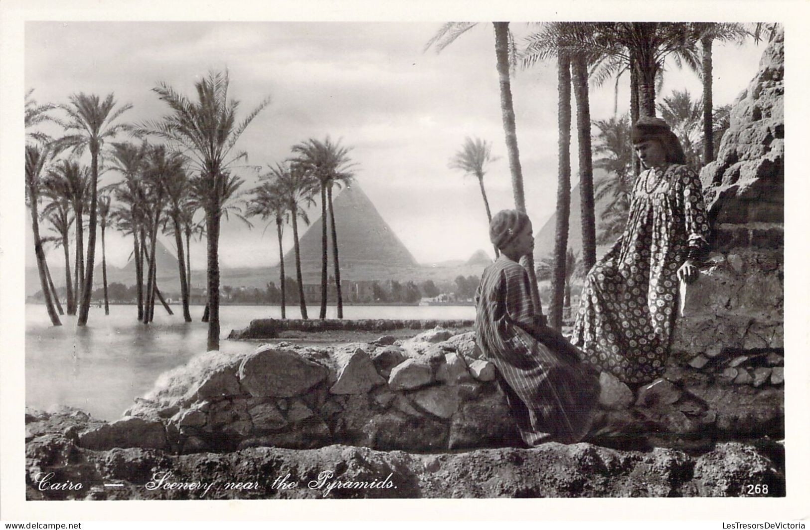 EGYPTE - CAIRO - Scenery Near The Pyramids - Carte Postale Ancienne - Kairo