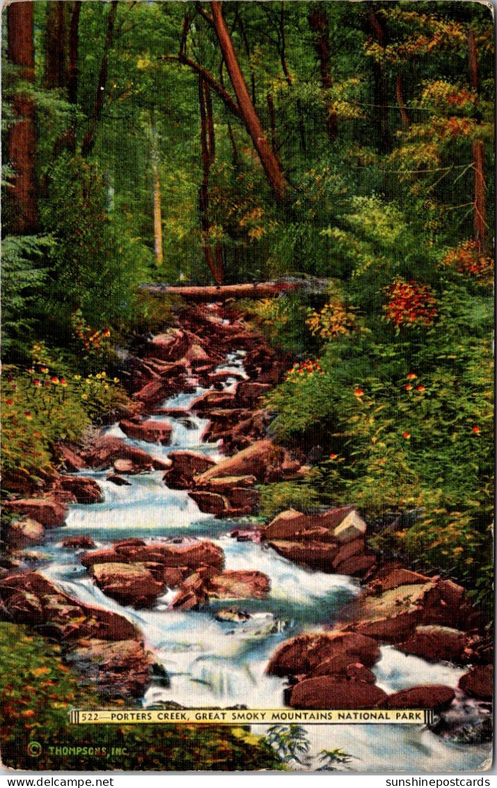 Great Smoky Mountains National Park Porter's Creek - USA Nationale Parken