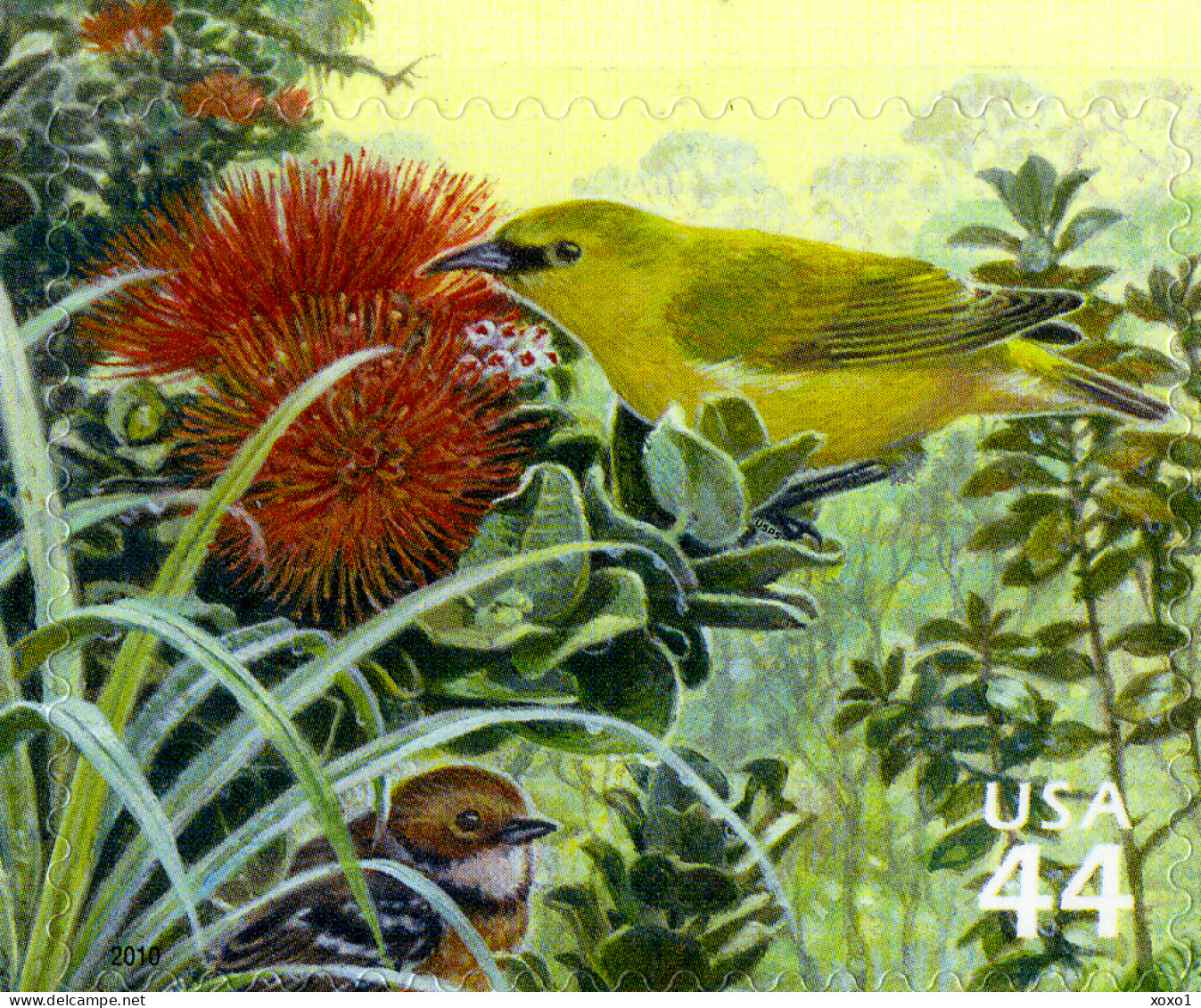 USA 2010 MiNr. 4632 Etats-Unis Hawaiian Rain Forest #12 Birds, 'Ohi'a Lehua, Hawaiʻi ʻelepaio 1v MNH** 1.00 € - Sparrows