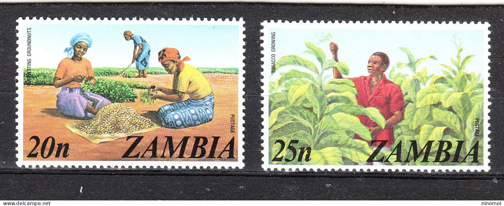 Zambia - 1975. Coltivazione Arachidi E Tabacco. Cultivation Peanuts And Tobacco. MNH - Agriculture