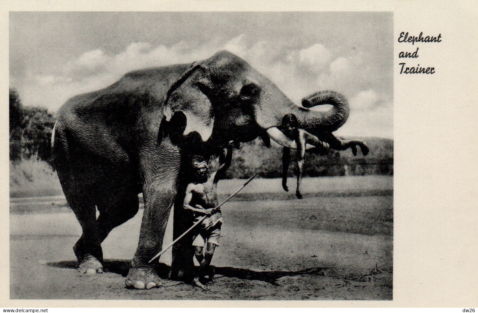 Ethnologie Asie (Inde, Ceylan) Elephant And Trainer (son Dresseur) Carte Non Circulée - Asien