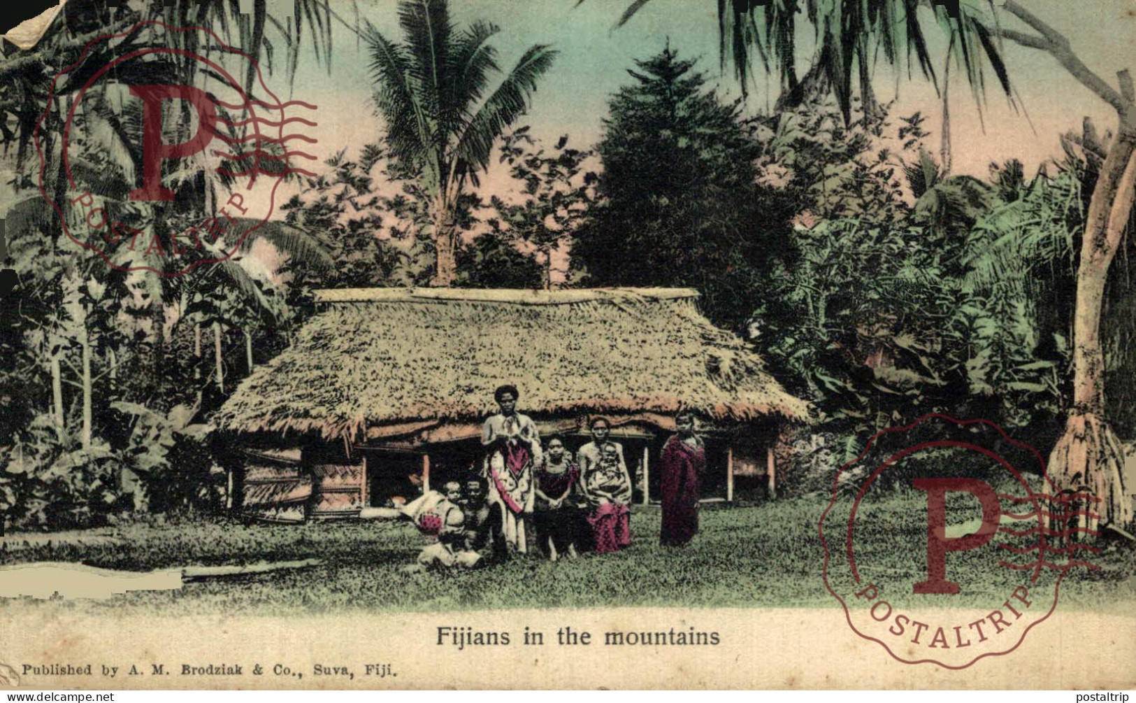 FIJI. FIJIANS IN THE MOUNTAINS. - Fidji
