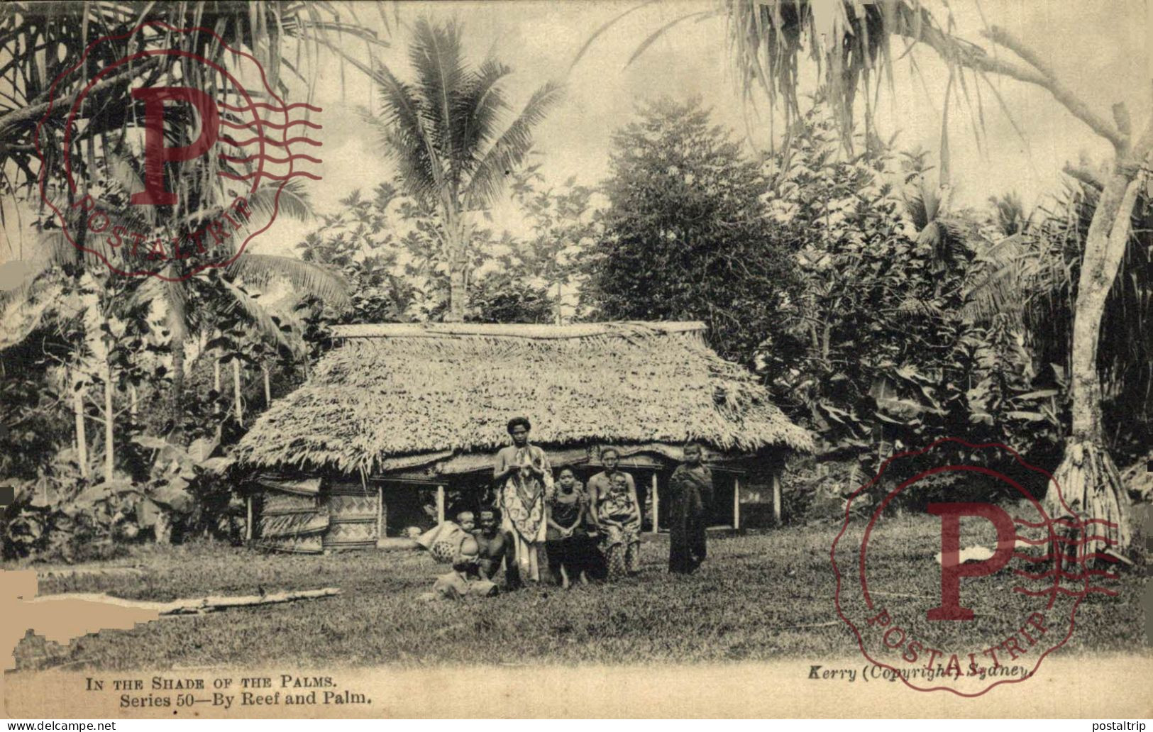 FIJI. IN THE SHADE OF THE PALMS. - Fidji