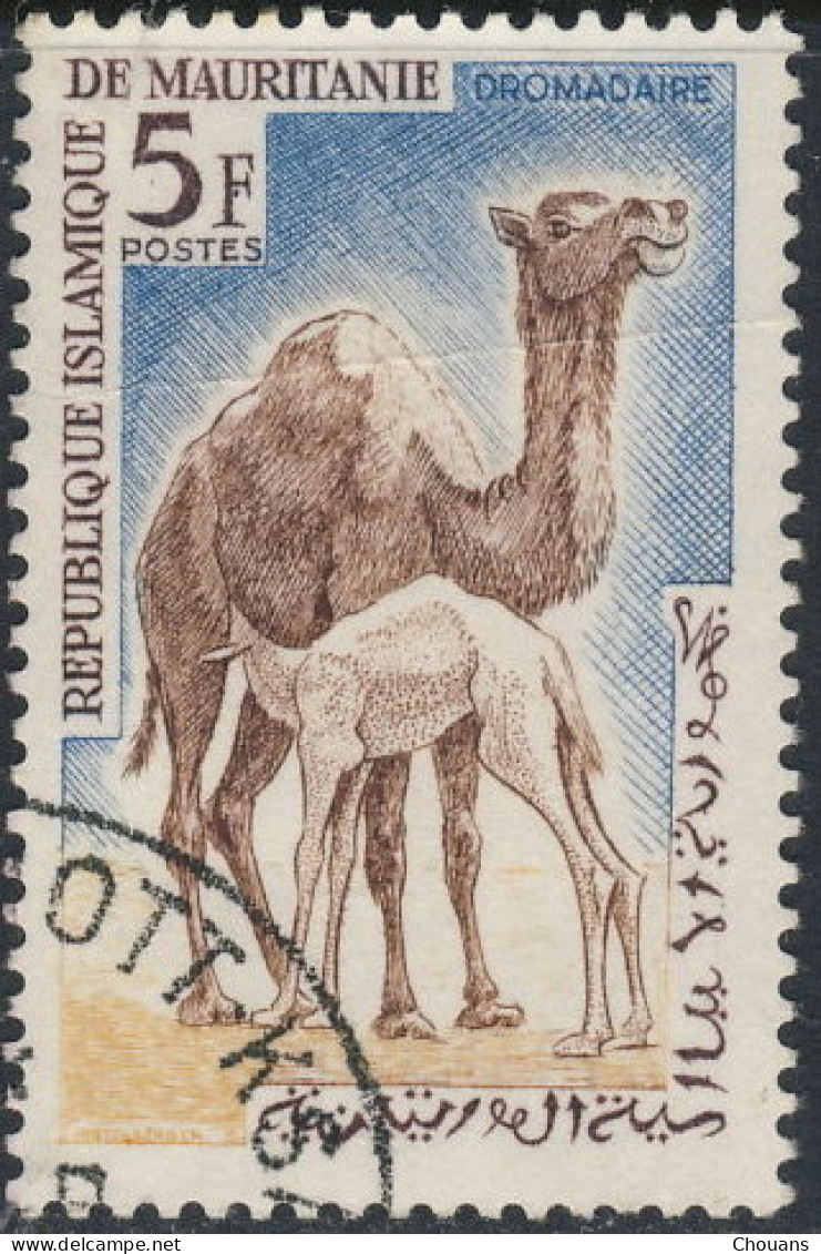 Mauritanie 1962 ~ YT 169 - Dromadaire - Mauritanie (1960-...)