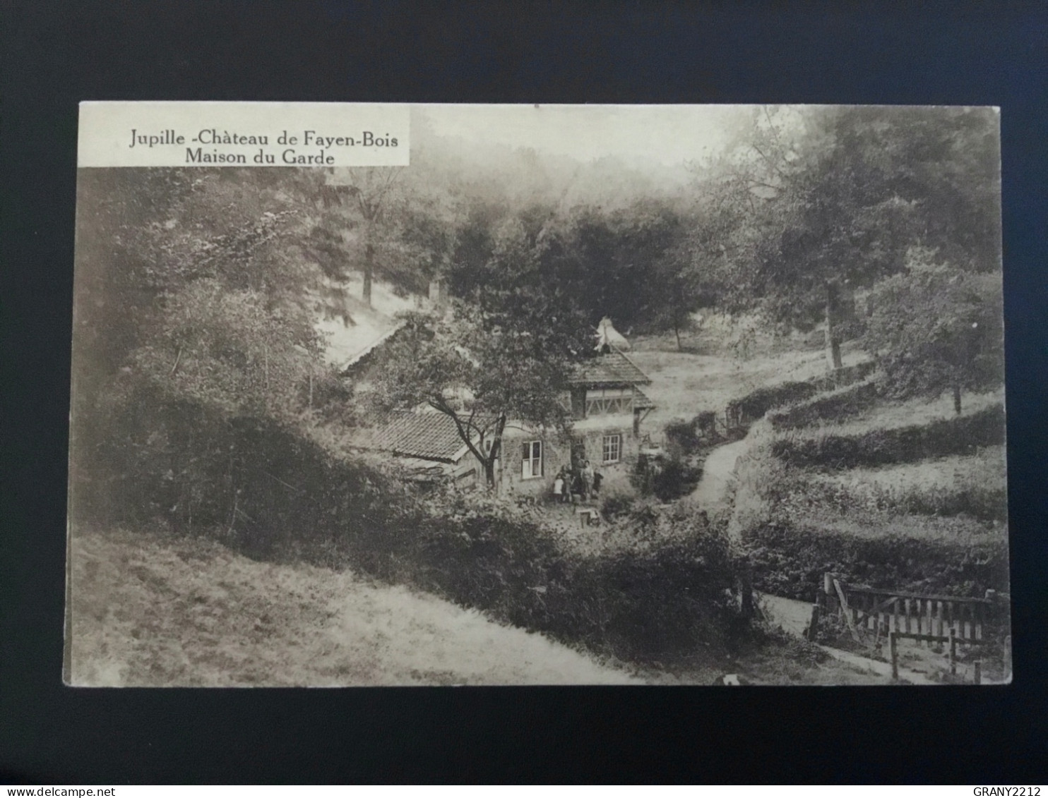 JUPILLE -CHÂTEAU DE FAYEN - BOIS « MAISON DU GARDE « PANORAMA,Animée Édit LÉGIA. - Spa