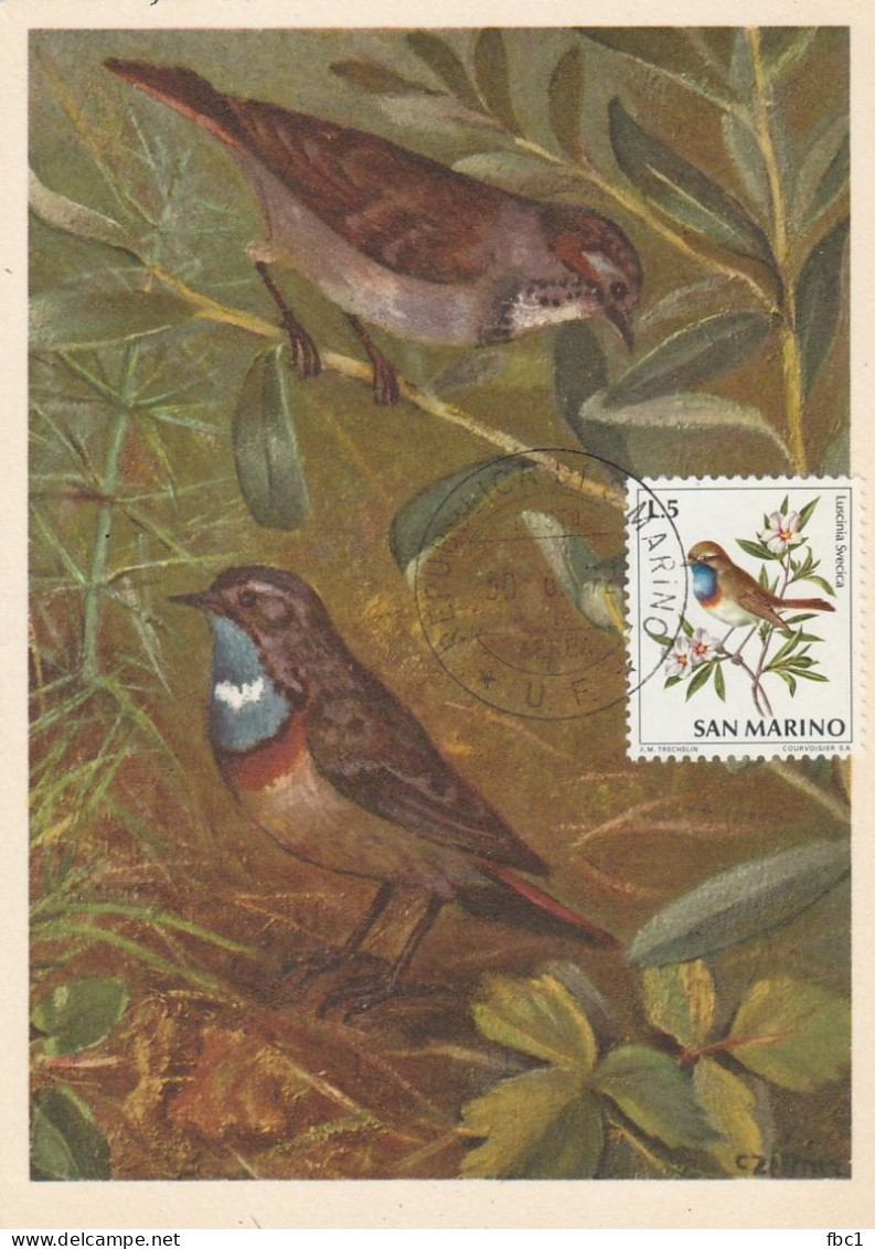 San Marino - Carte Maximum - Gorge Bleue  1972 - Sparrows