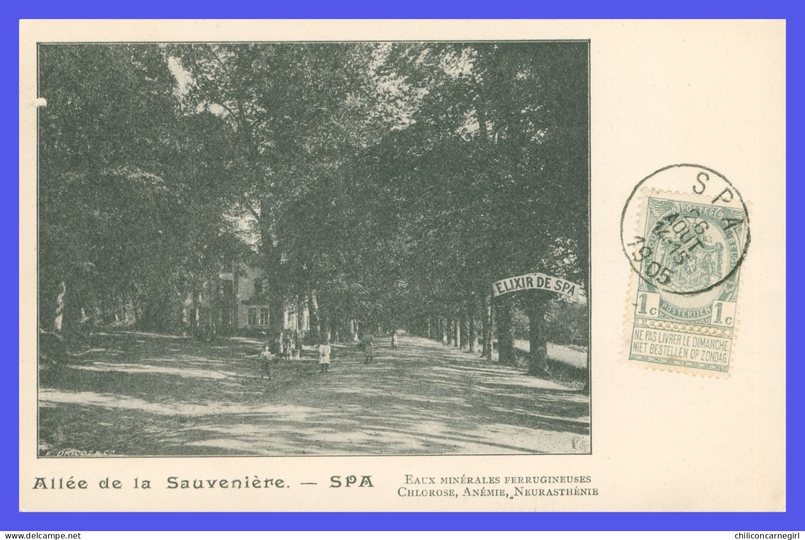 * SPA - Allée De La Sauvenière - Elixir De Spa - Animée - Eaux Minérales Ferrugineuses - Edit. DRICOT - 1905 - Spa