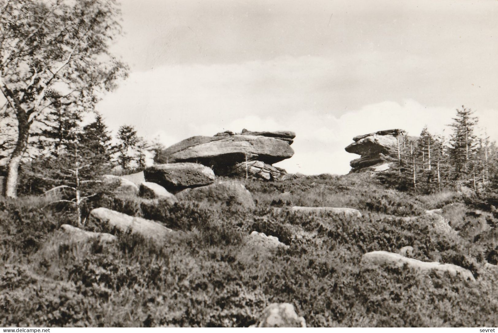 Environs De NIEDERHASLACH. - Le Rocher De Mutzig. Carte RARE - Dolmen & Menhire