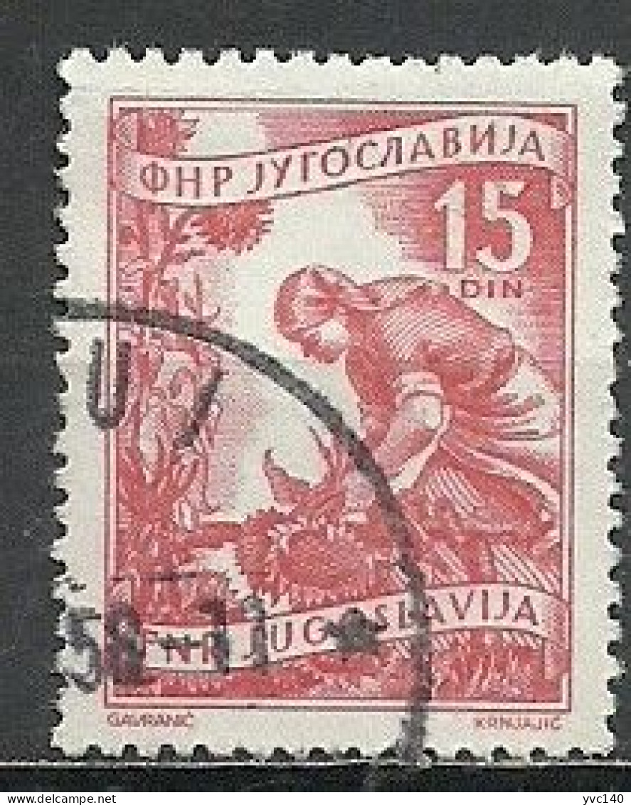 Yugoslavia; 1951 Agriculture - Agriculture