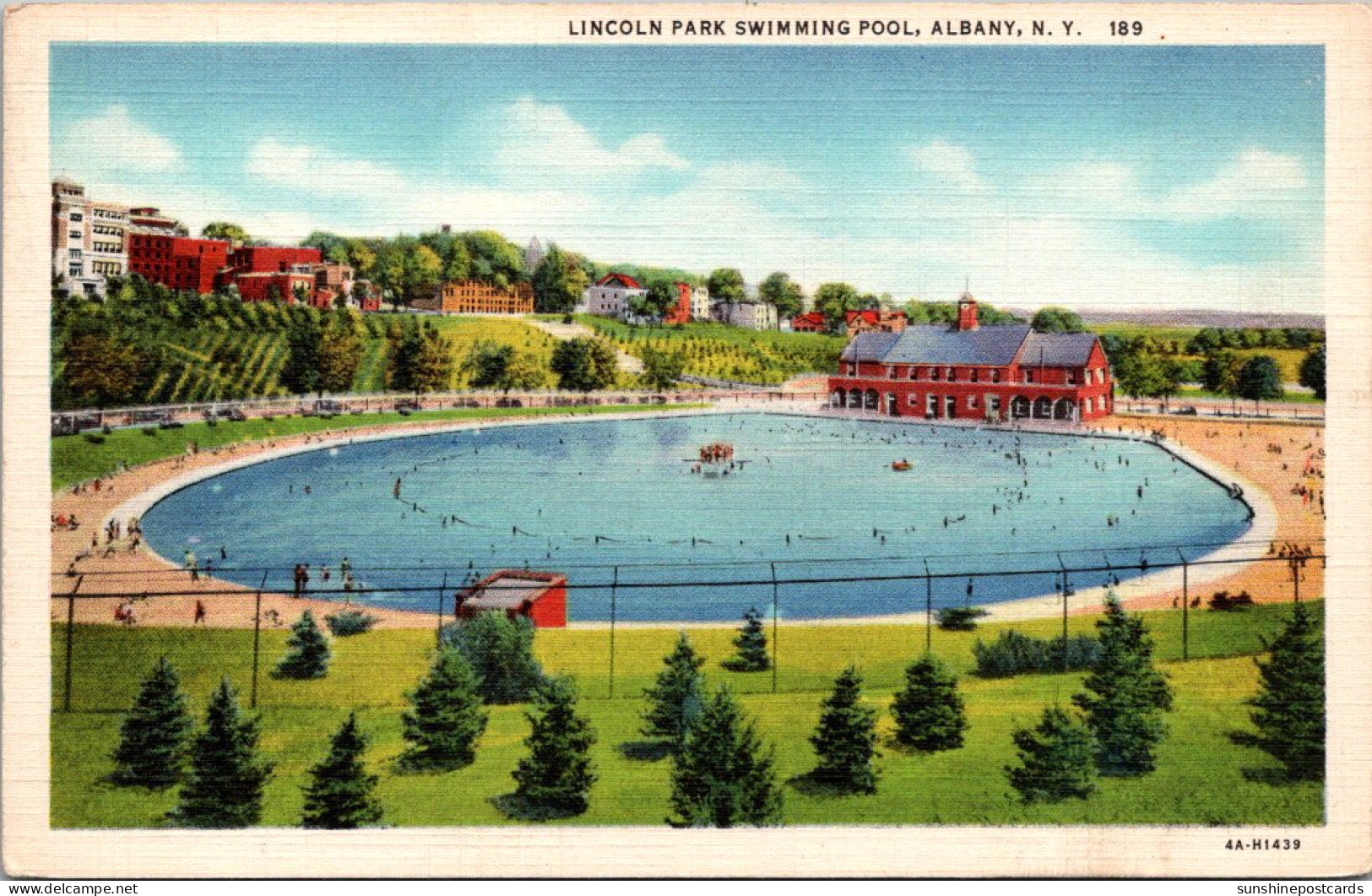 New York Albany Lincoln Park Swimming Pool Curteich - Albany