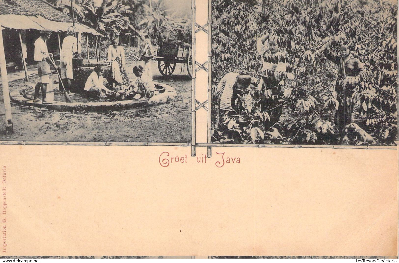 INDONESIE - Groet Uit JAVA  - Carte Postale Ancienne - Indonesië