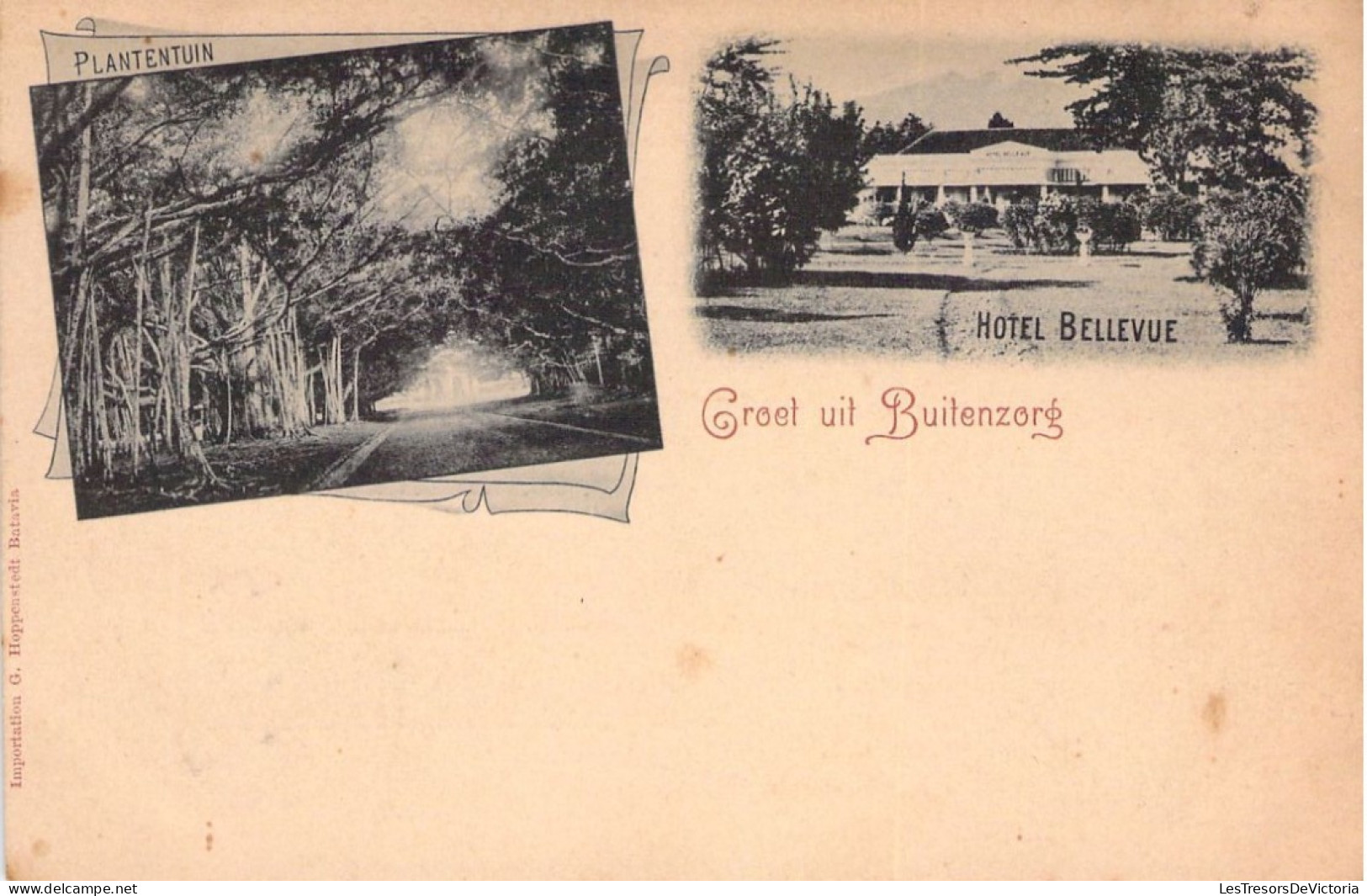 INDONESIE - Groet Uit Buitenzorg - Hotel Bellevue - Plantentuin - Carte Postale Ancienne - Indonesië