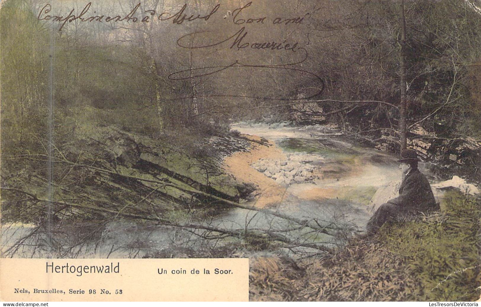 LUXEMBOURG - Hertogenwald - Un Coin De La Soor - Carte Postale Ancienne - Altri & Non Classificati