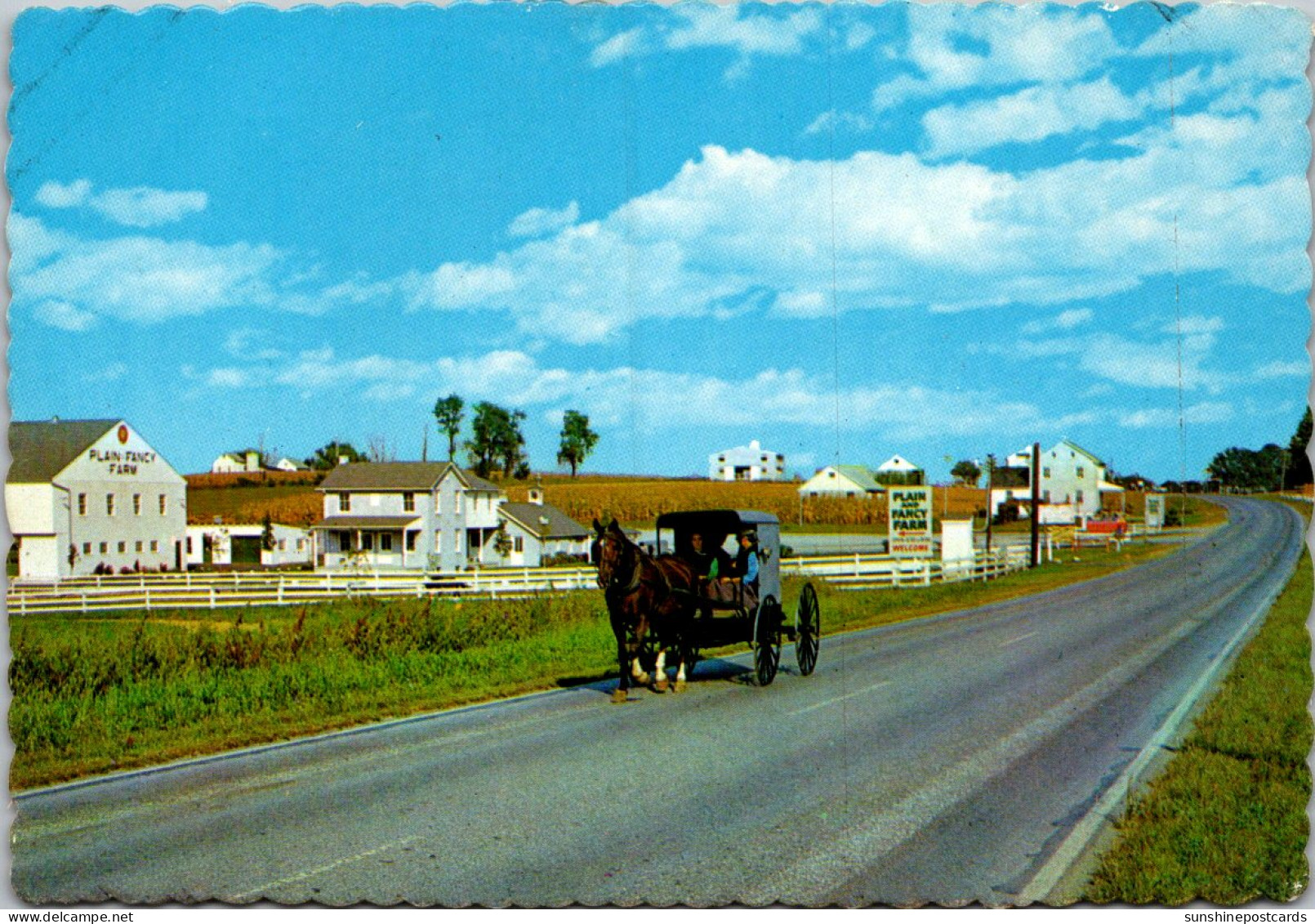 Pennsylvania Dutch Country Amish Family Buggy Driving Along Route 340 Near Intercourse - Lancaster