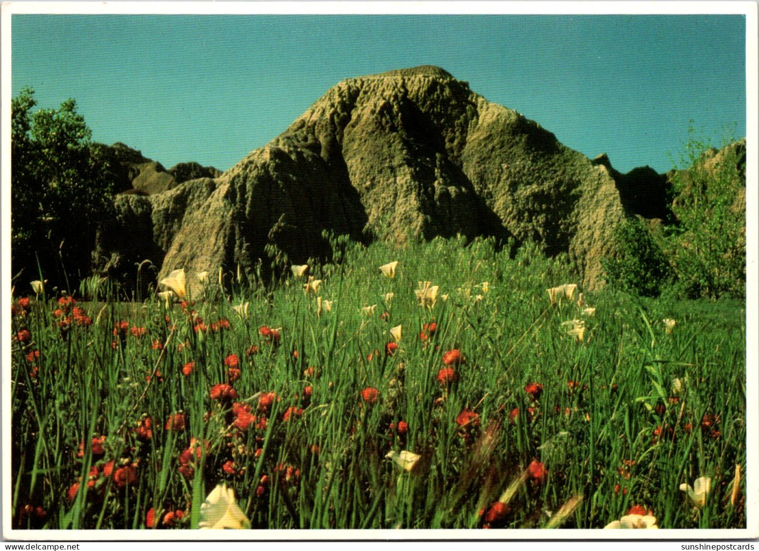 South Dakota Badlands National Park In The Spring - Andere & Zonder Classificatie