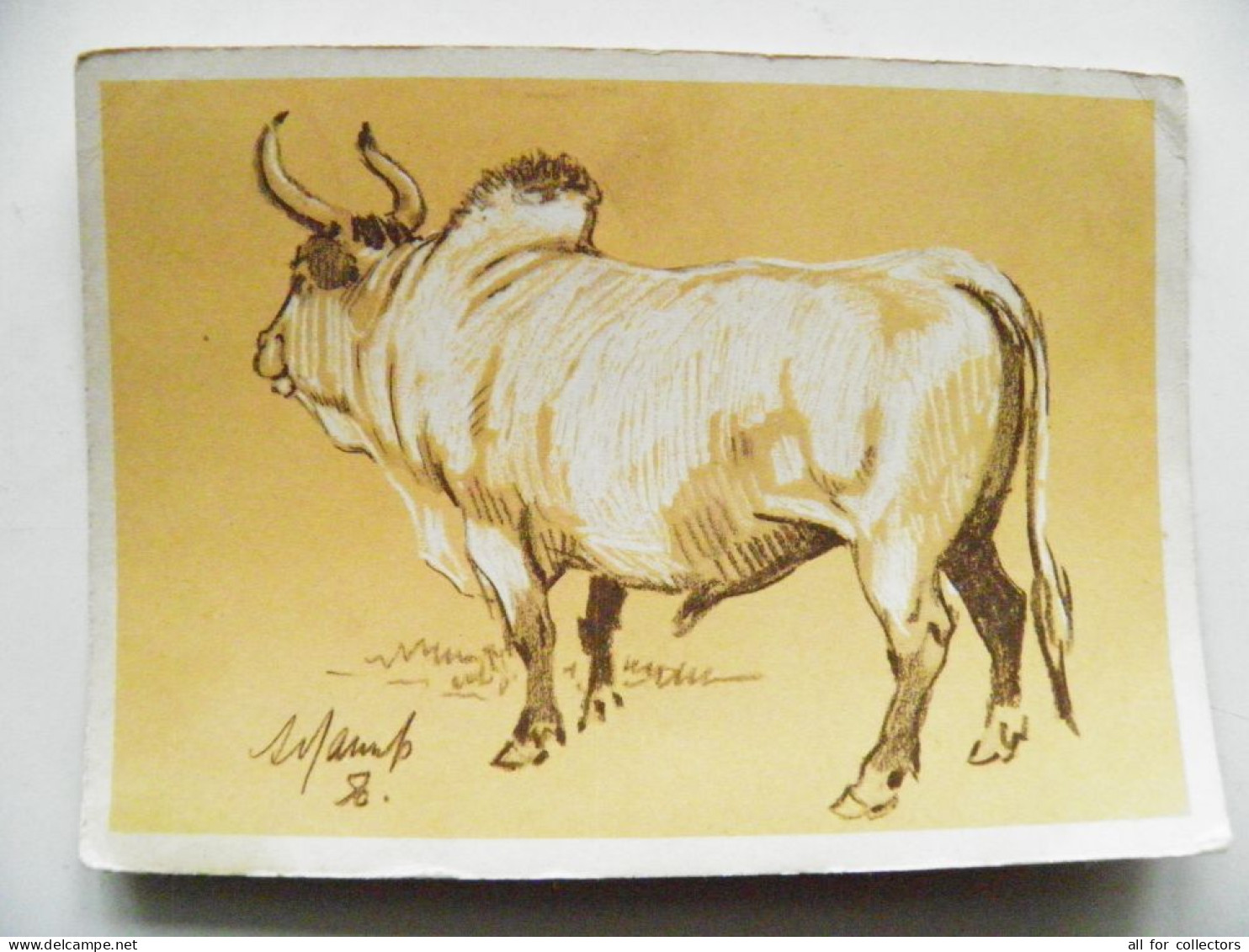 Post Card Ussr Animals Bull Art Painting 1956 - Taureaux