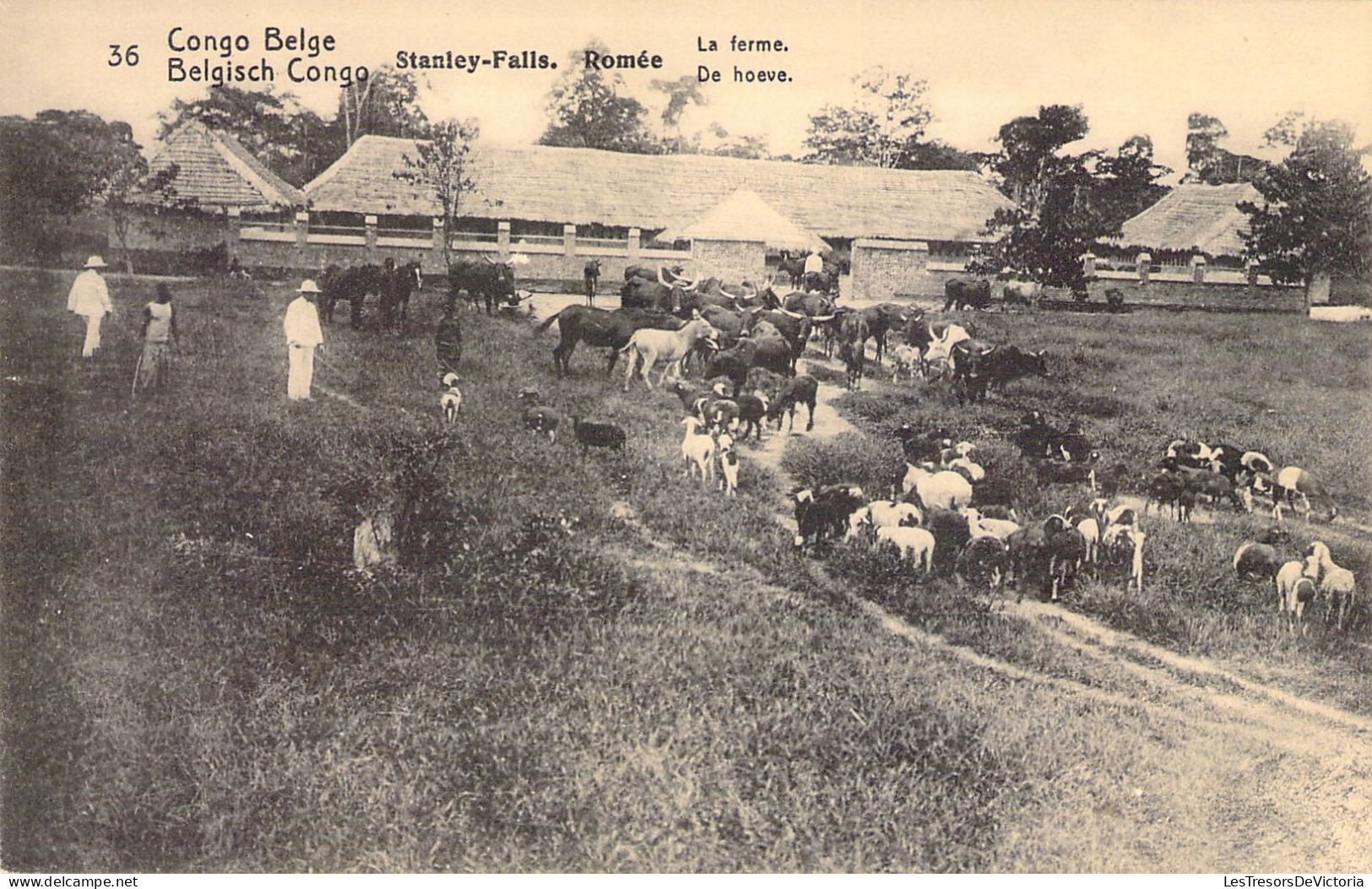 CONGO BELGE - Stanley Falls - Romée - La Ferme - Carte Postale Ancienne - Belgisch-Kongo