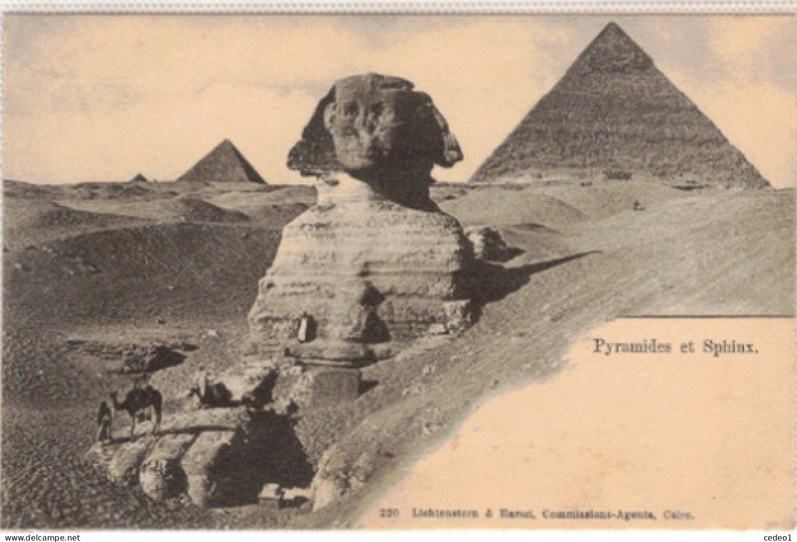 PYRAMIDES  ET  SPHINX - Sphinx