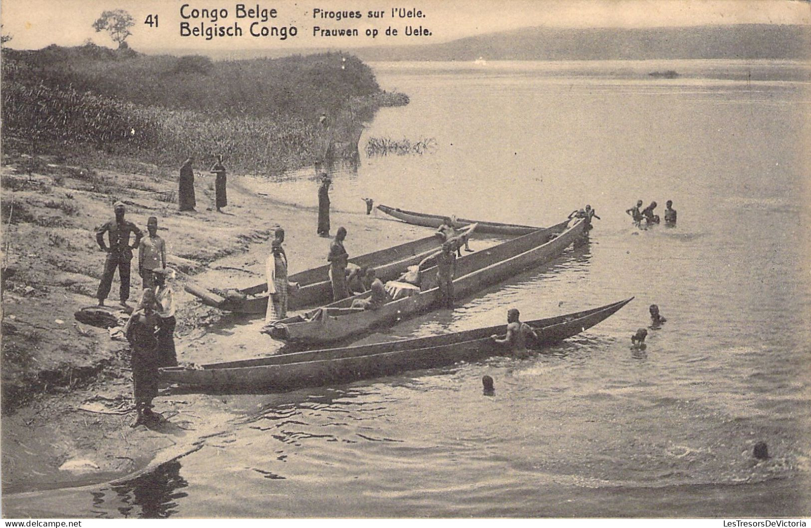 CONGO BELGE - Pirogues Sur L'uele - Carte Postale Ancienne - Belgisch-Kongo