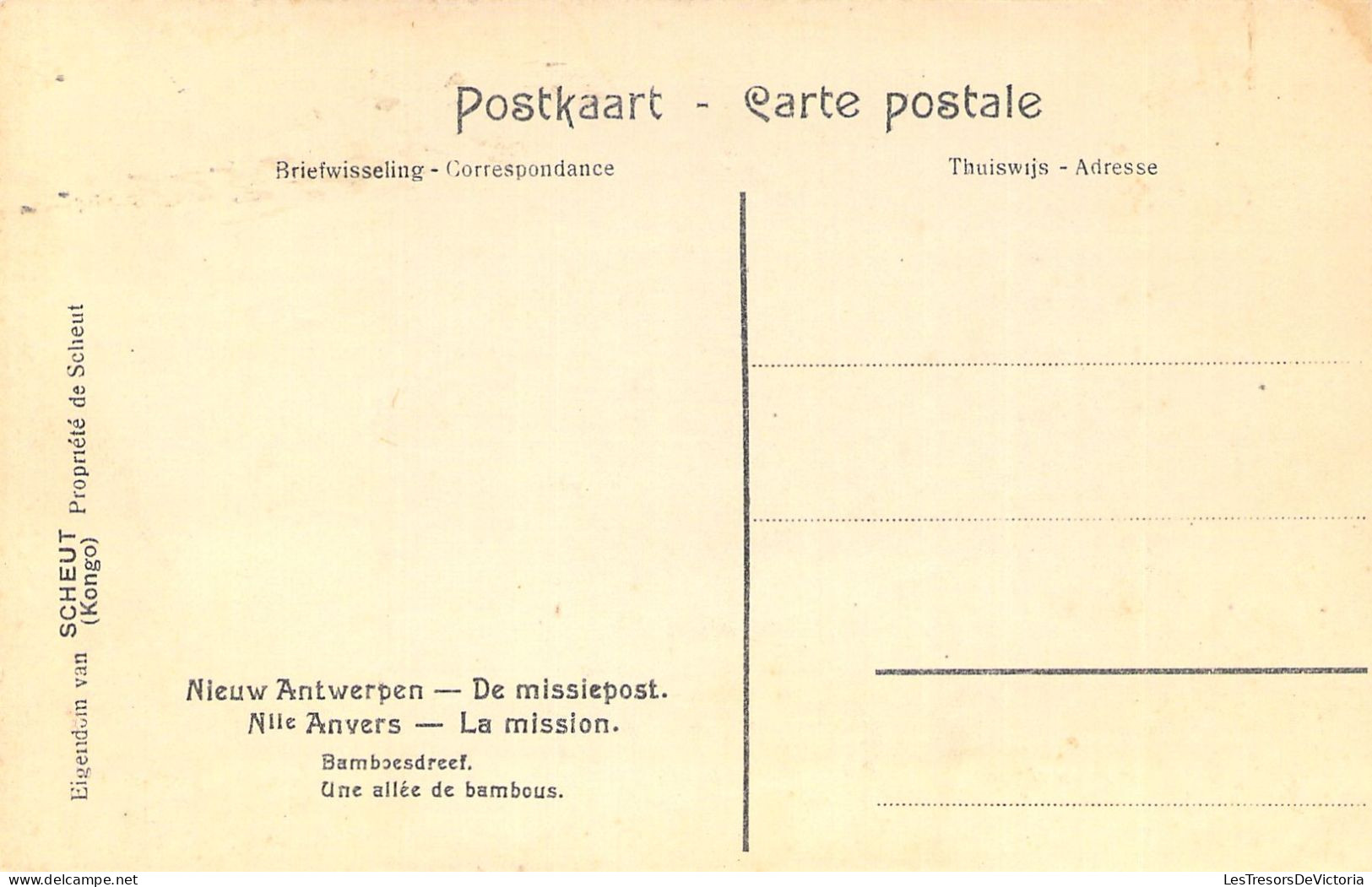 CONGO BELGE - Nouvelle Anvers - La Mission - Une Allée De Bambous - Carte Postale Ancienne - Belgian Congo
