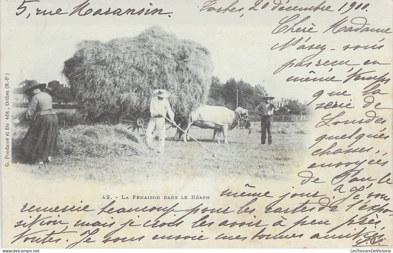 AGRICULTURE - Attelage - La Fenaison Dans Le Béarn- Carte Postale Ancienne - Equipaggiamenti