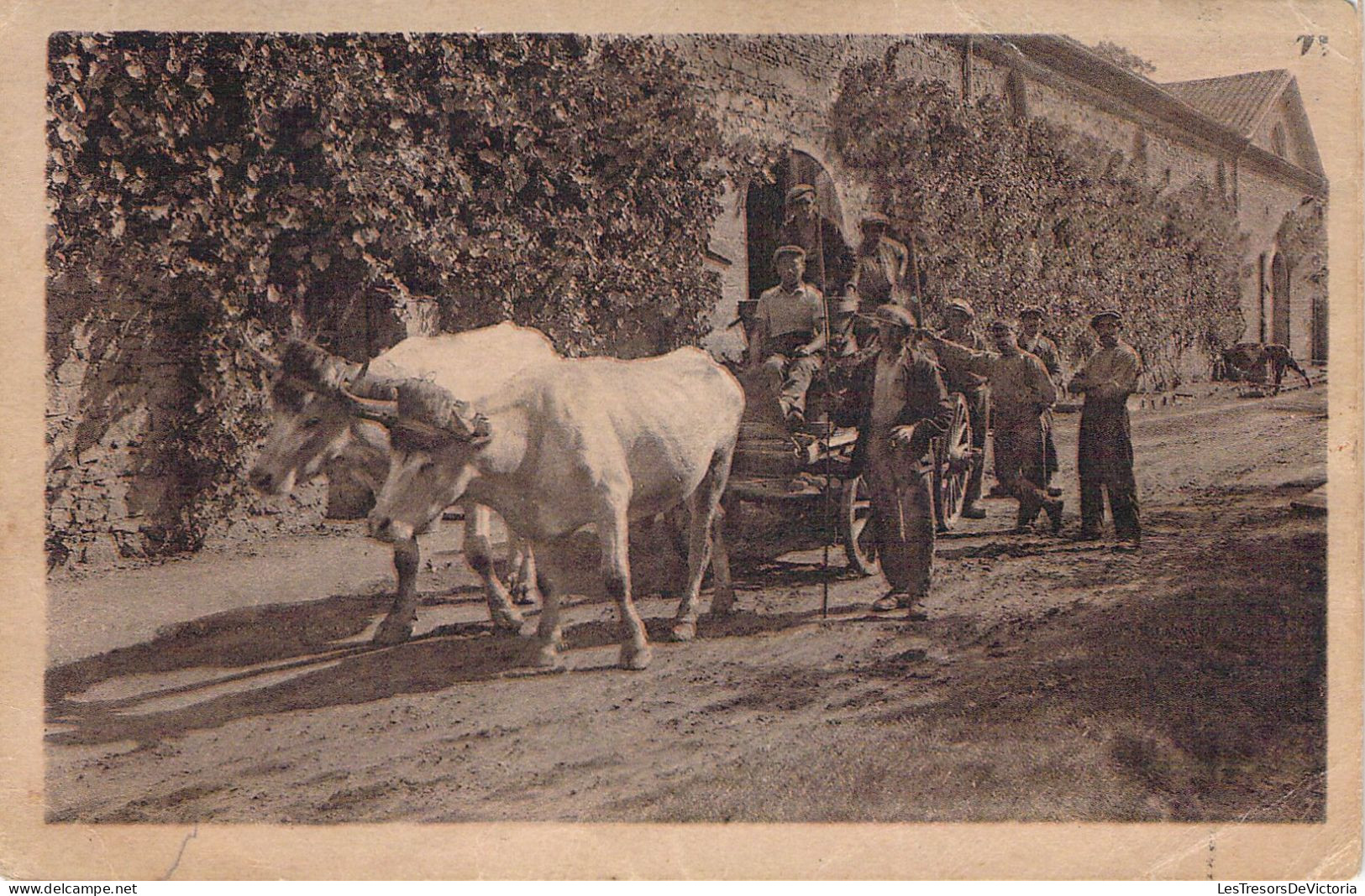 AGRICULTURE - Attelage - Les Vendanges - Le Transport Du Raisin - Carte Postale Ancienne - Wagengespanne