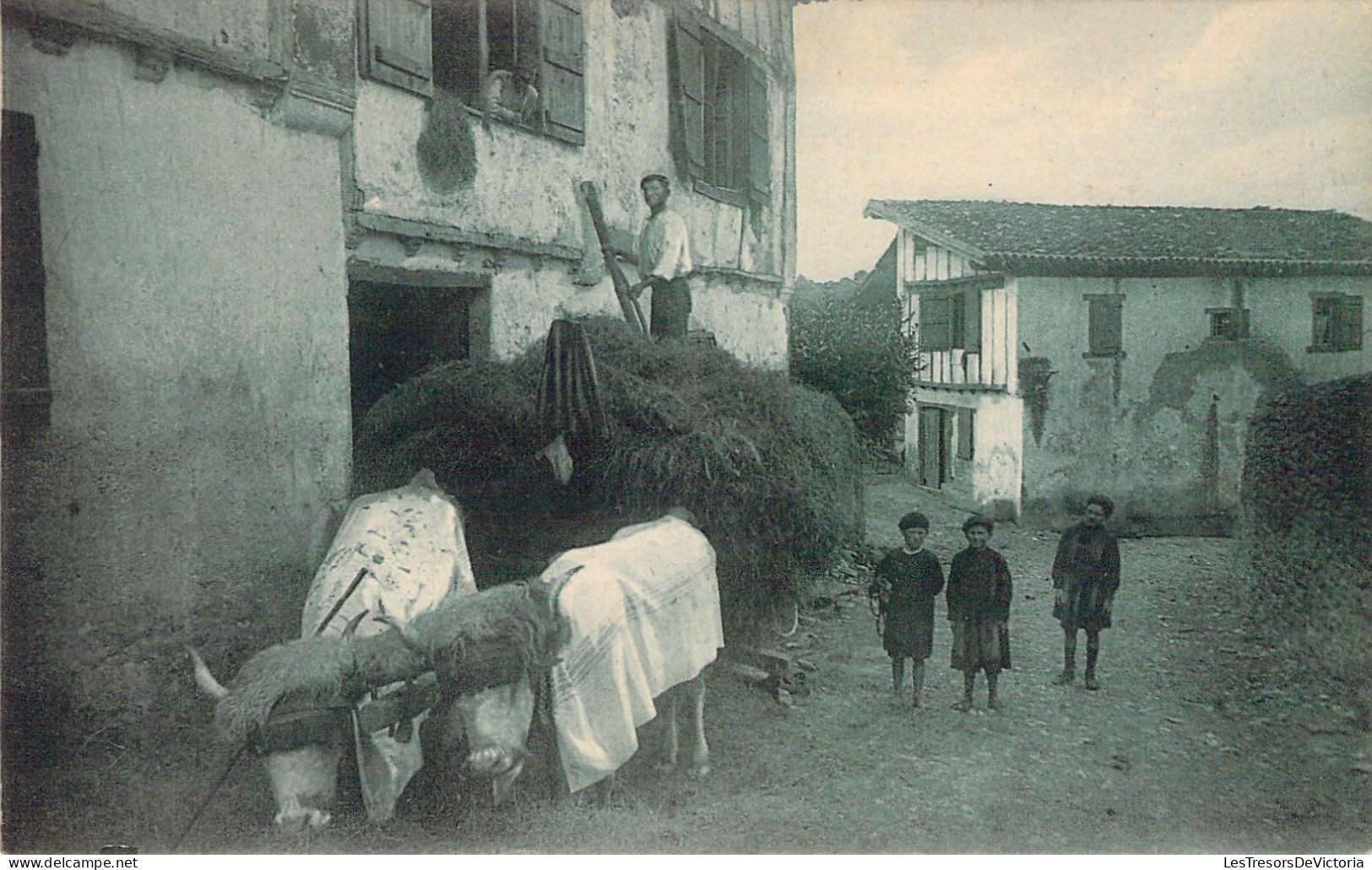 AGRICULTURE - Attelage - Pays Basque - Rentrée Des Foins Au Vieux Cambo - Carte Postale Ancienne - Equipaggiamenti