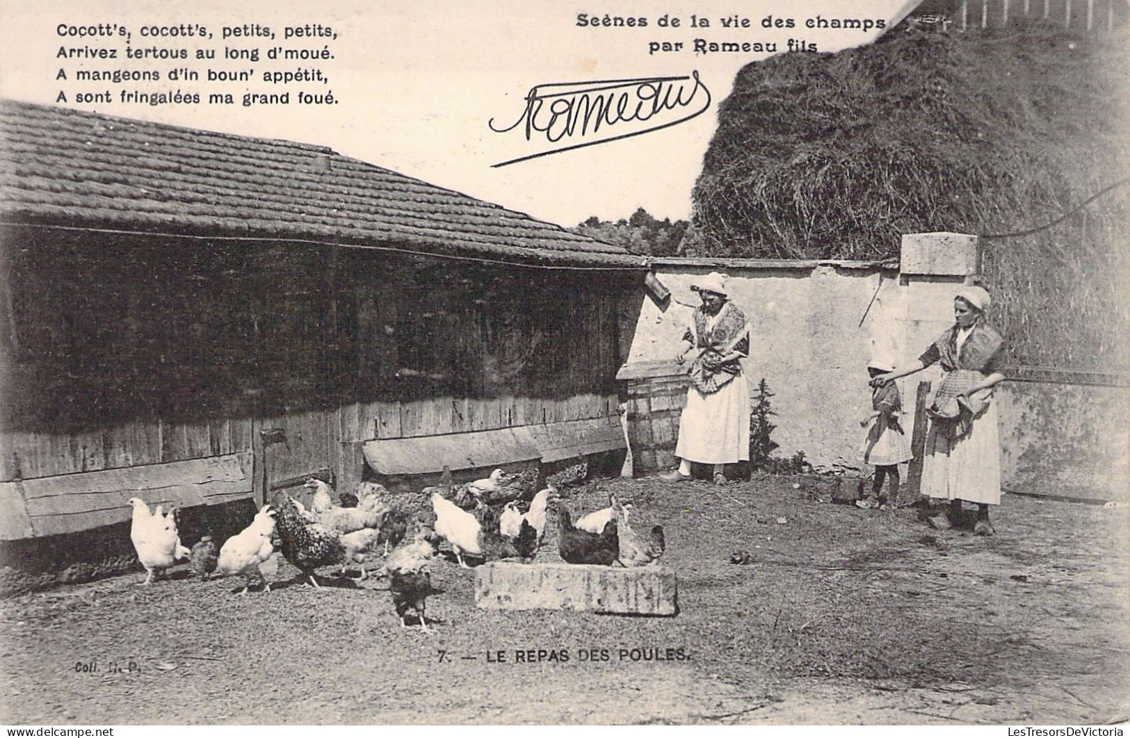 AGRICULTURE - FERME - Le Repas Des Poules - Carte Postale Ancienne - Fermes