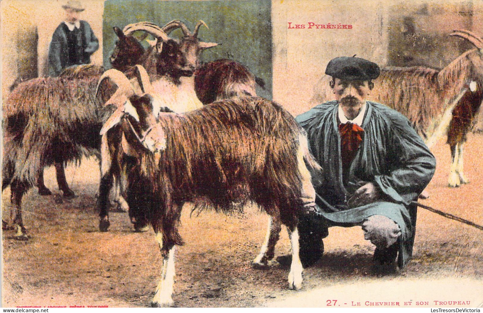 AGRICULTURE - ELEVAGE - Le Chevrier Et Son Troupeau - Les Pyrénées - Carte Postale Ancienne - Veeteelt