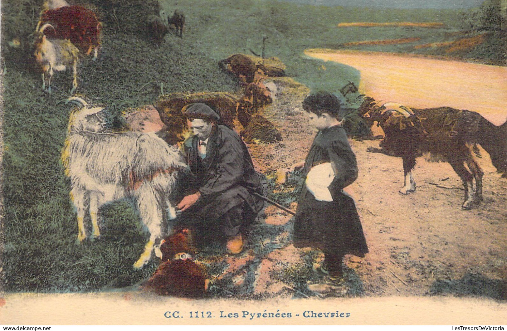 AGRICULTURE - ELEVAGE - Les Pyrénées - Chevrier - Carte Postale Ancienne - Elevage