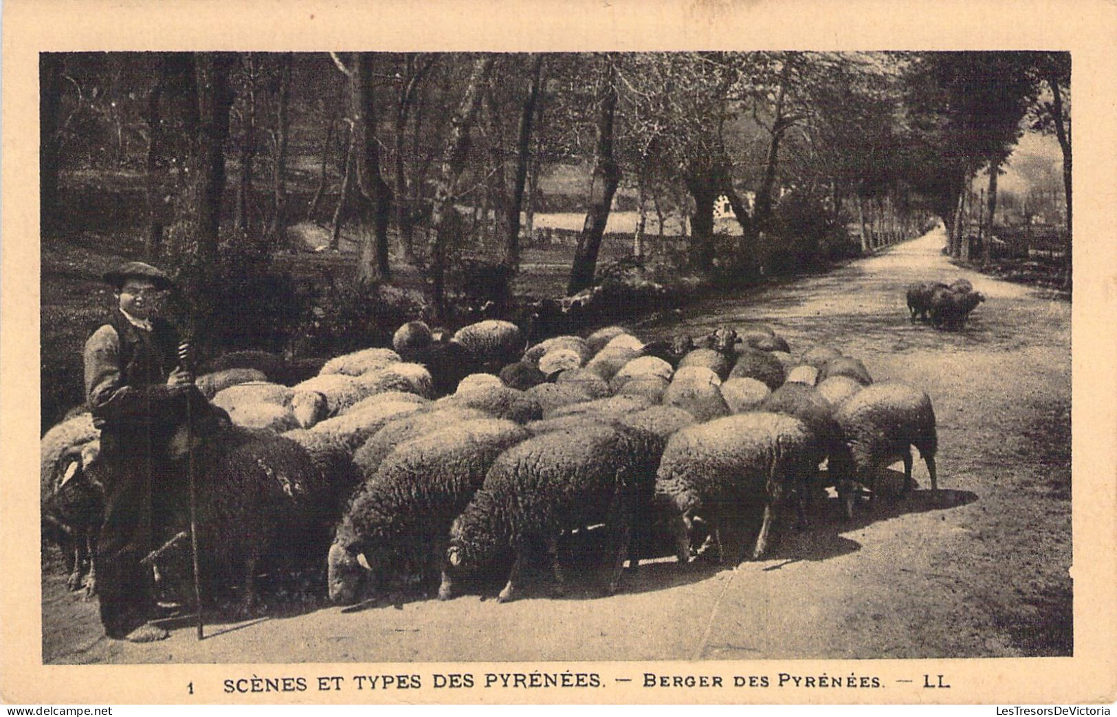 AGRICULTURE - ELEVAGE - Scènes Et Types Des Pyrénées - Berger Des Pyrénées - LL - Carte Postale Ancienne - Elevage