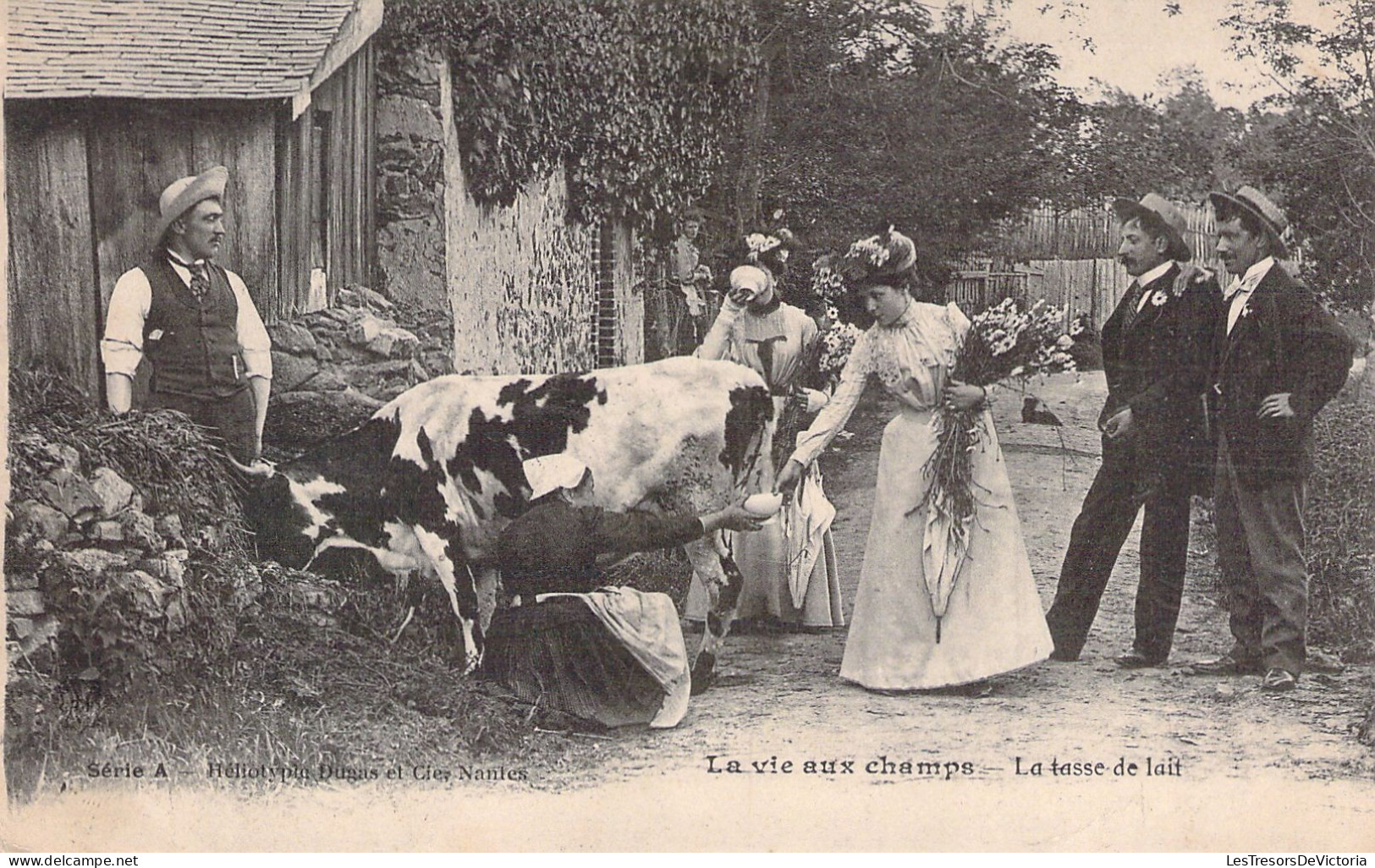 AGRICULTURE - ELEVAGE - La Vie Au Champs - La Tasse De Lait - Carte Postale Ancienne - Veeteelt
