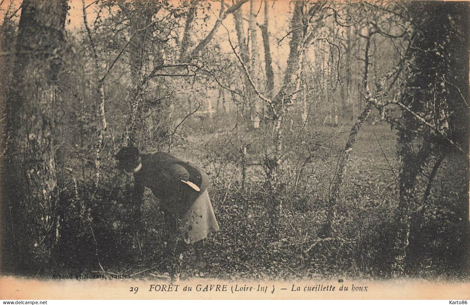 Le Gavre * La Forêt * La Cueillette Du Houx * Cueilleuse - Le Gavre