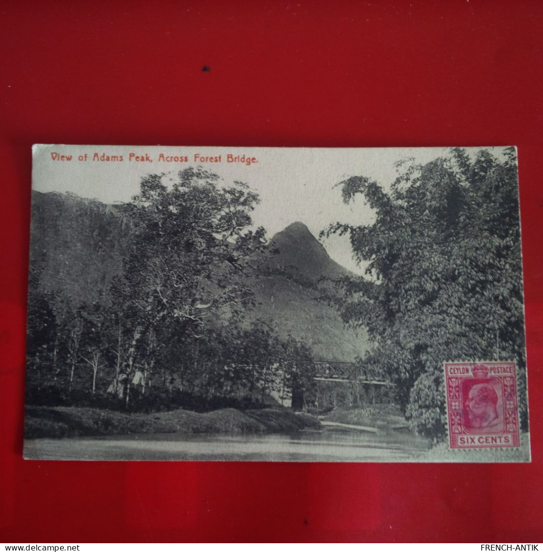 VIEW OF ADAMS PEAK ACROSS FOREST BRIDGE - Sri Lanka (Ceylon)