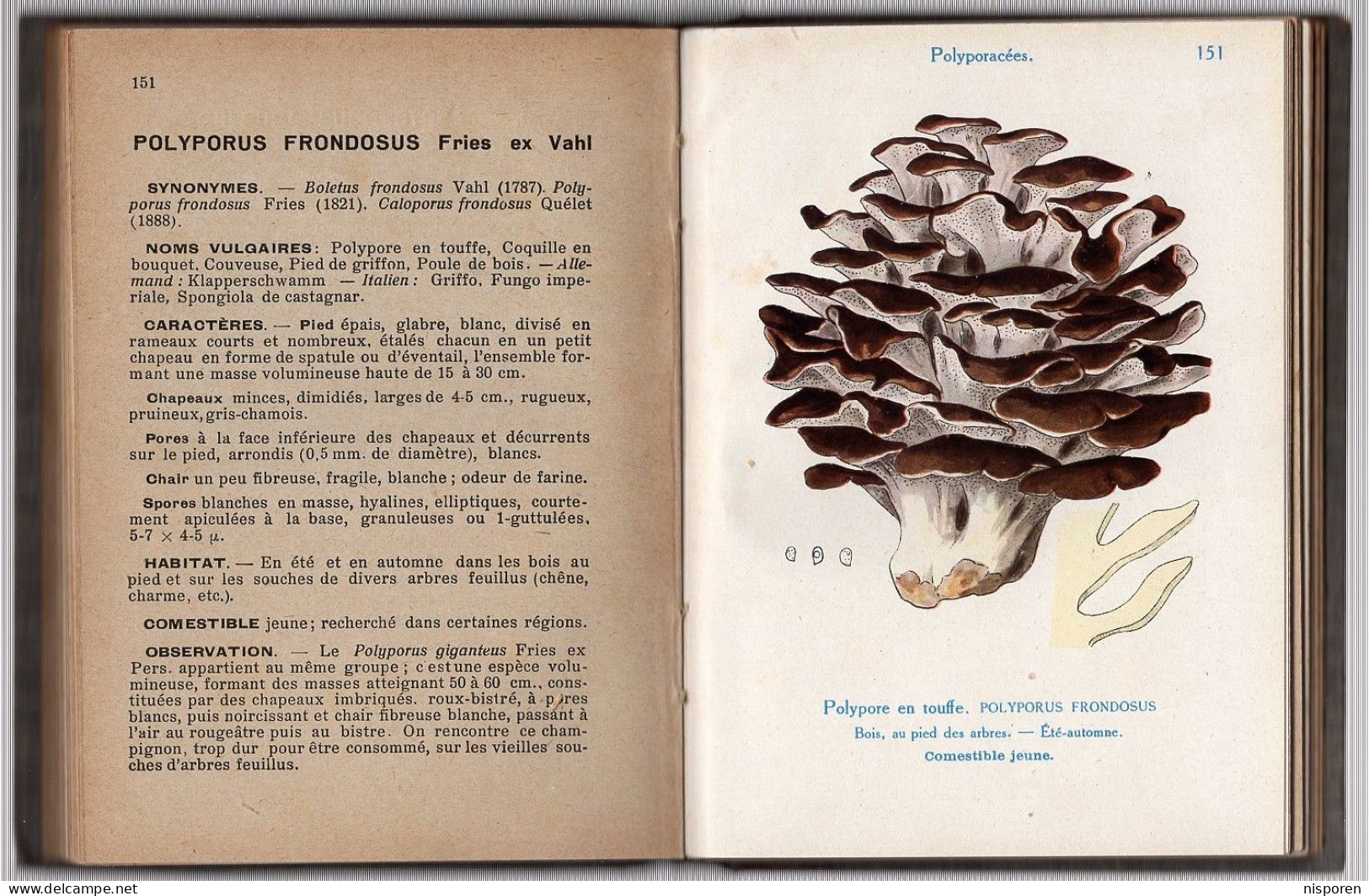 Les Champignons De France Par A. Maublanc - Enzyklopädien